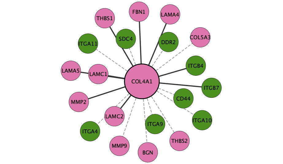COL4A1 interaction network