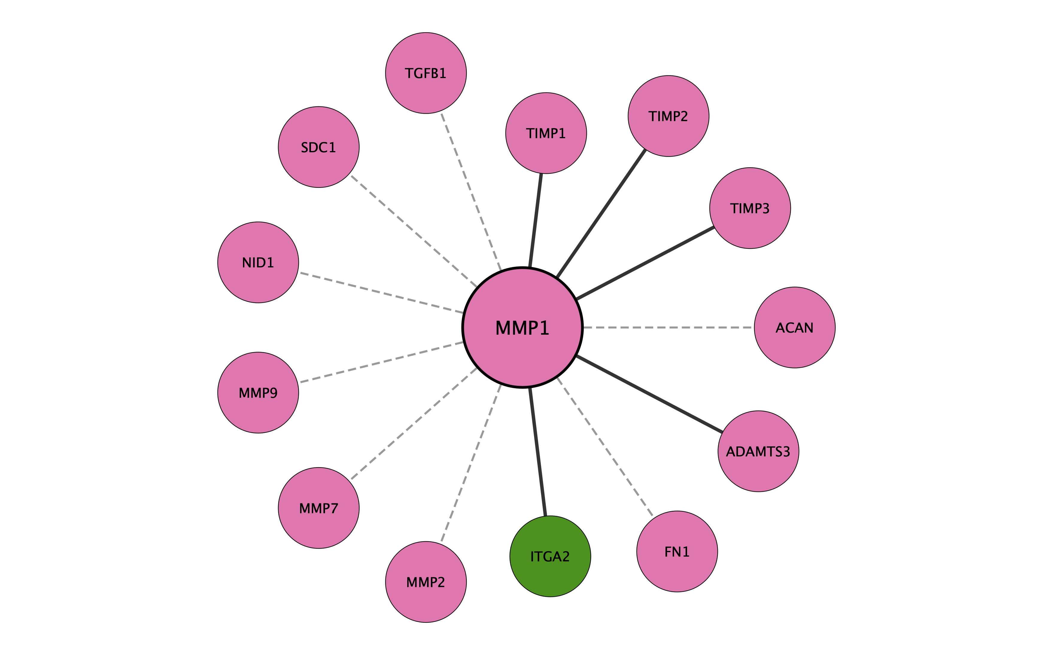 MMP1 protein interaction network