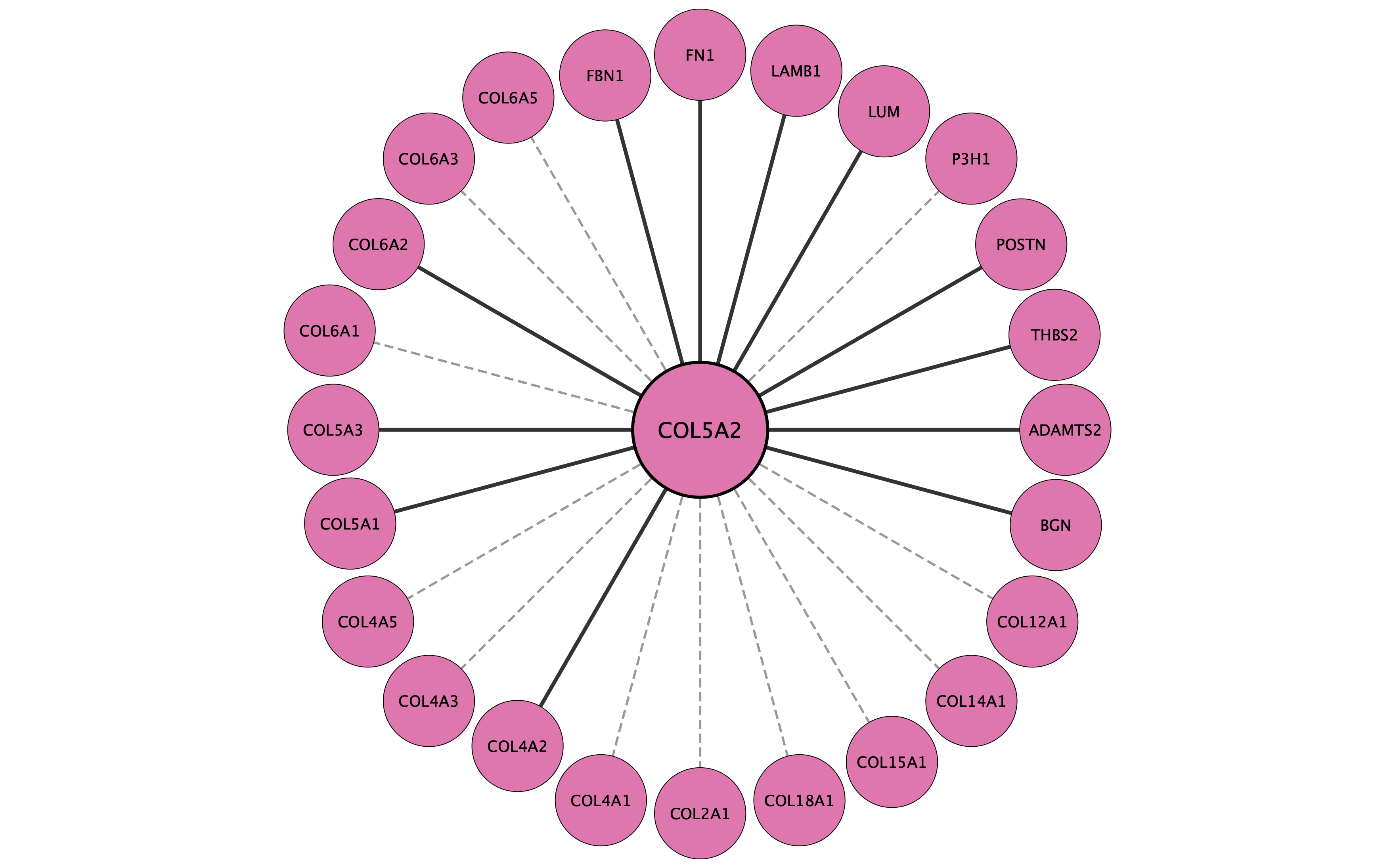 COL5A2 protein interaction network