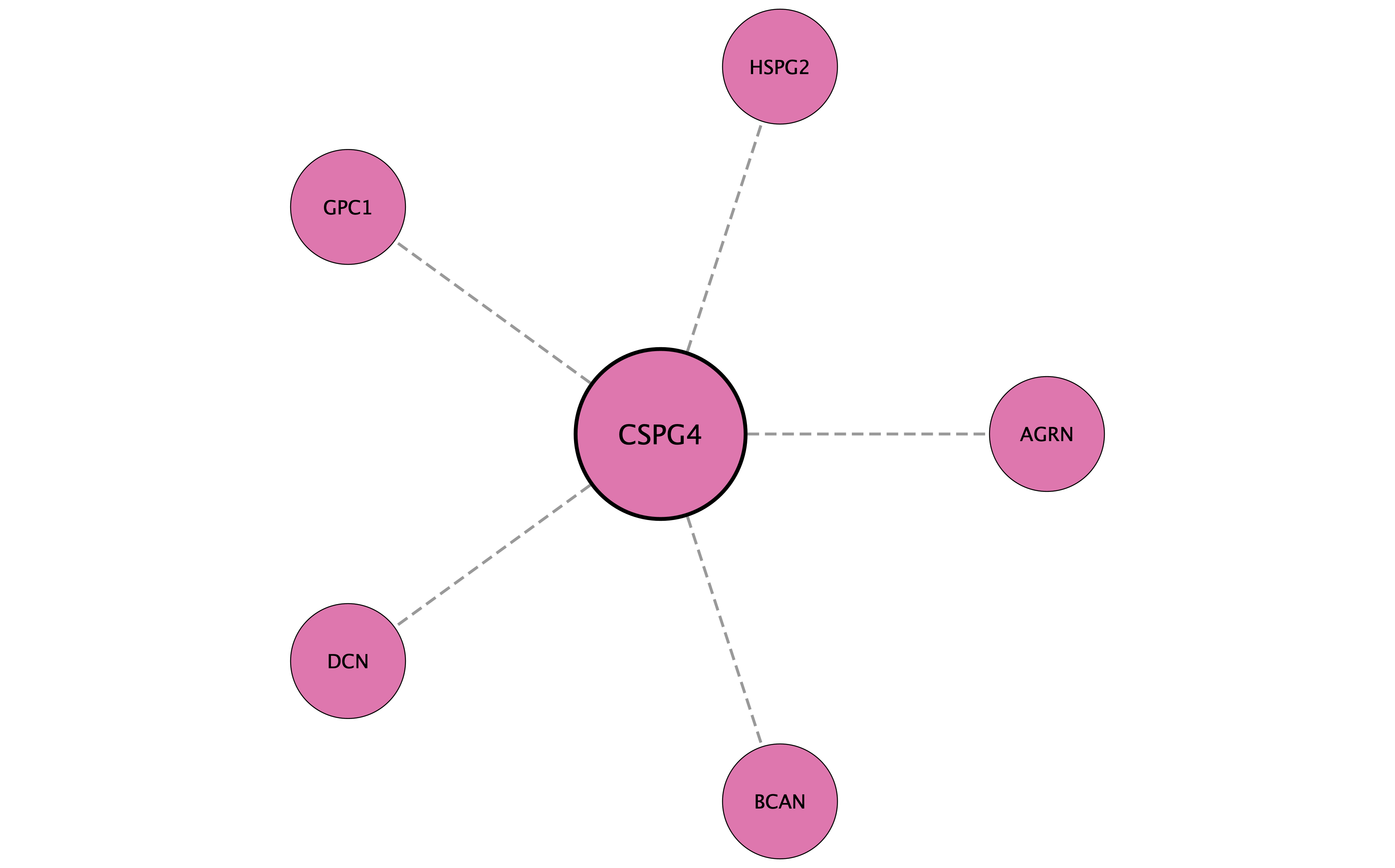 CSPG4 protein interaction network