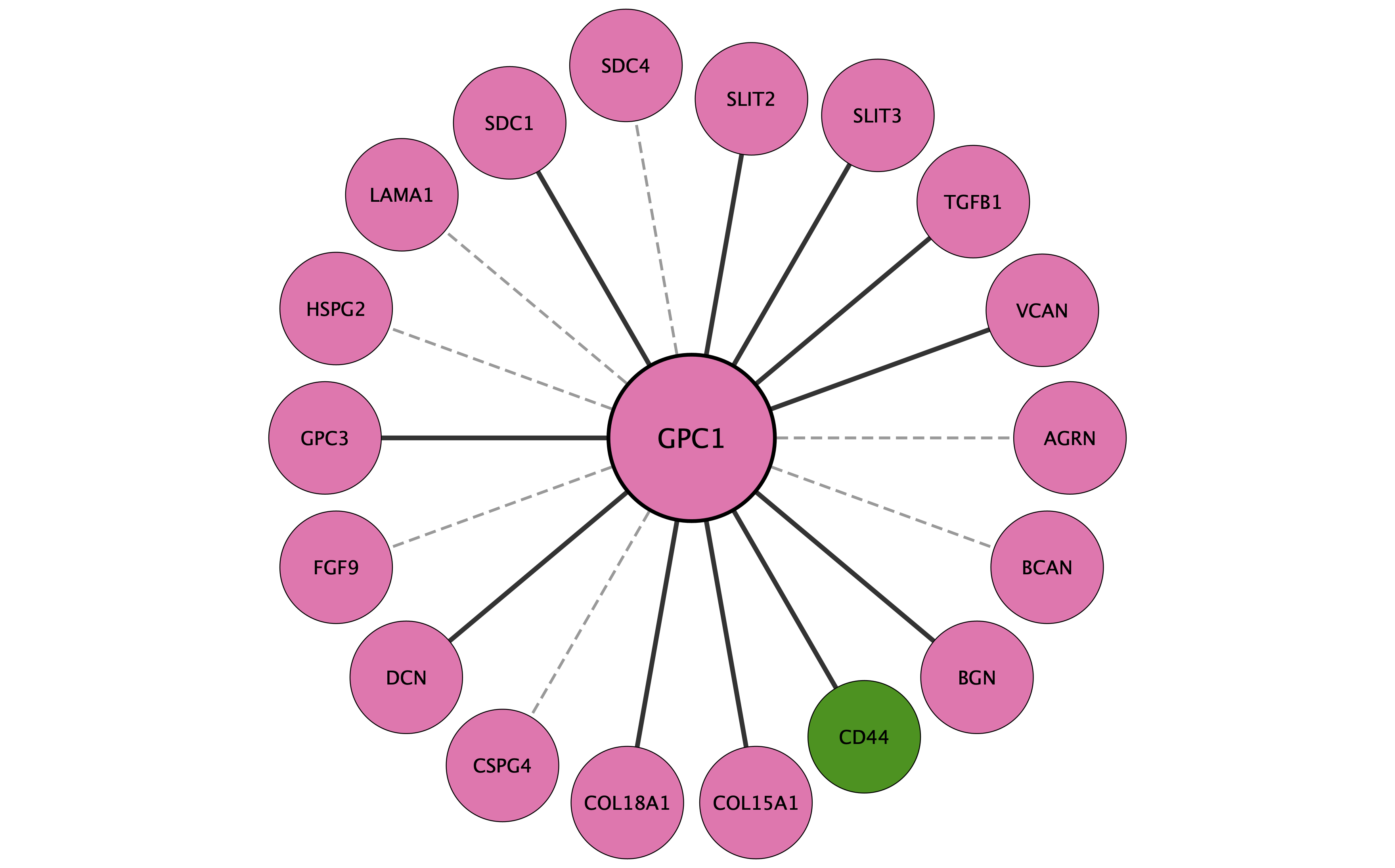 GPC1 protein interaction network