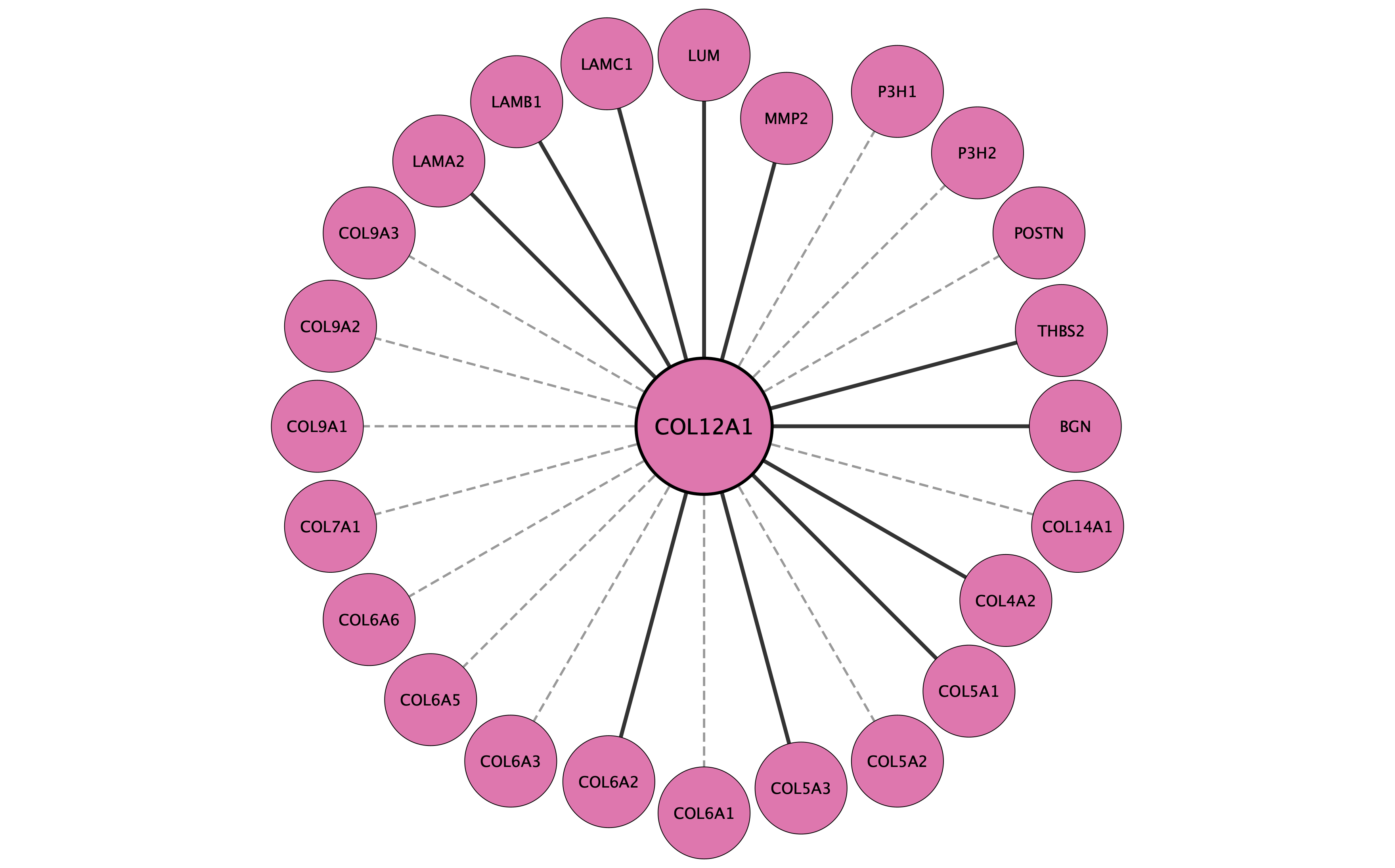 COL12A1 protein interaction network