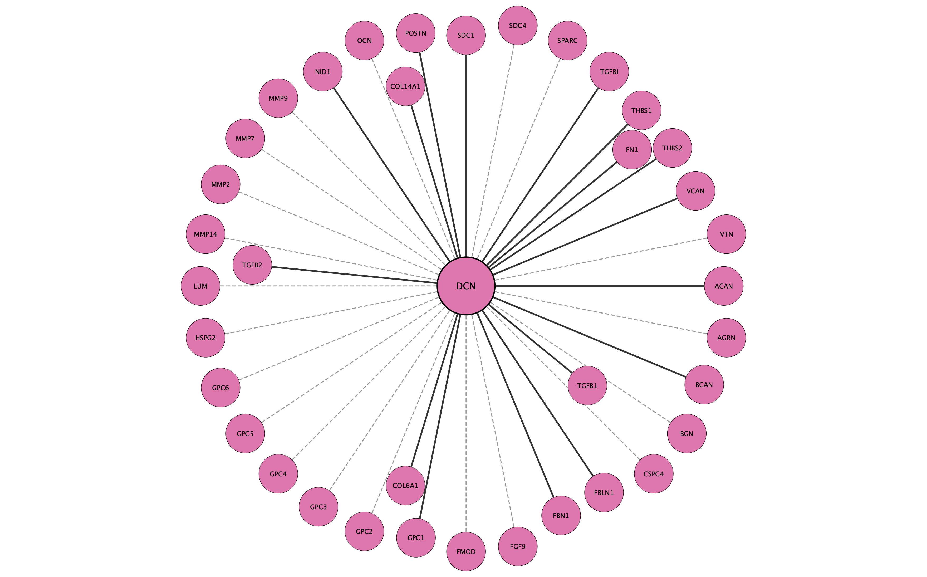 DCN protein interaction network