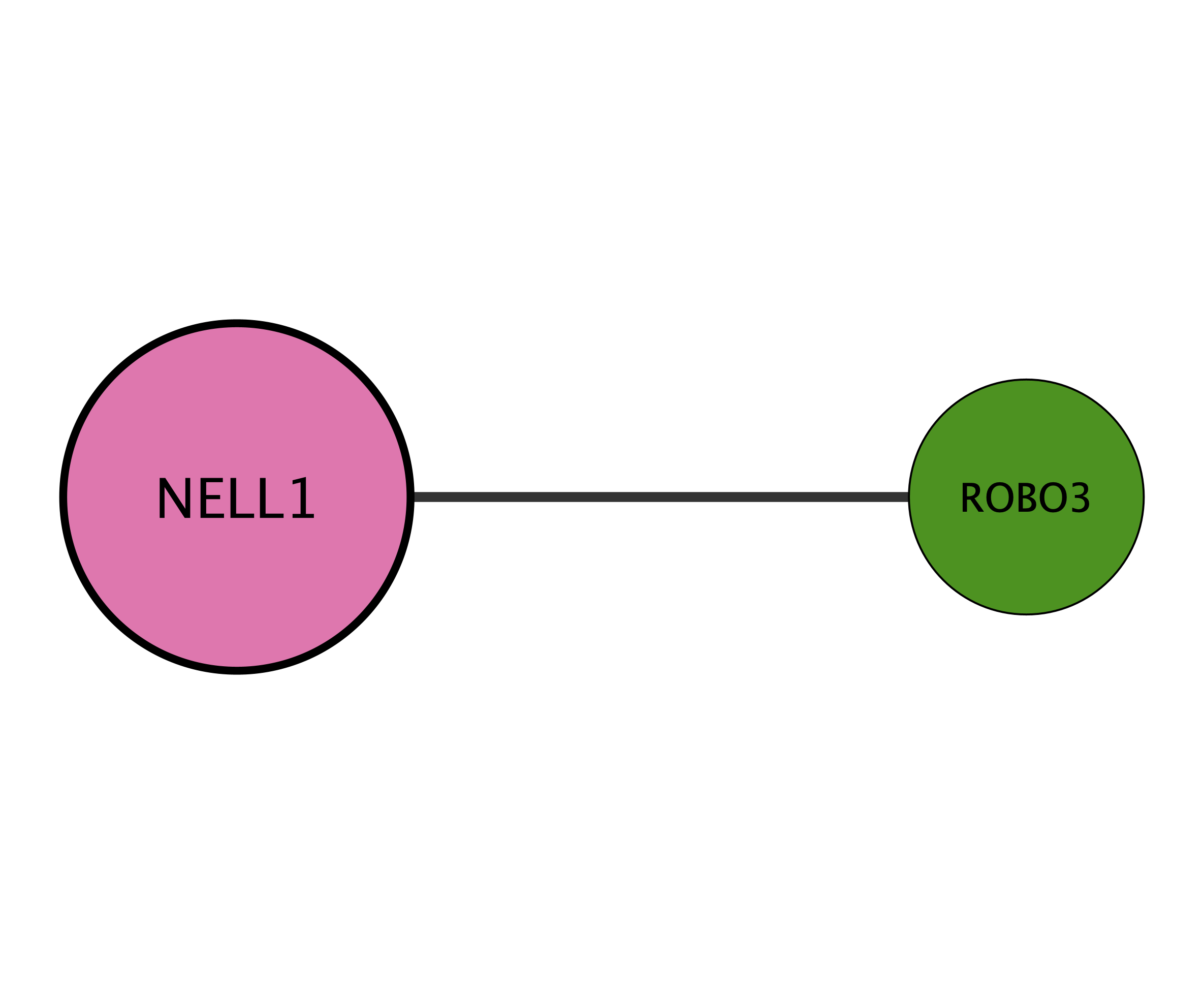 NELL1 protein interaction network