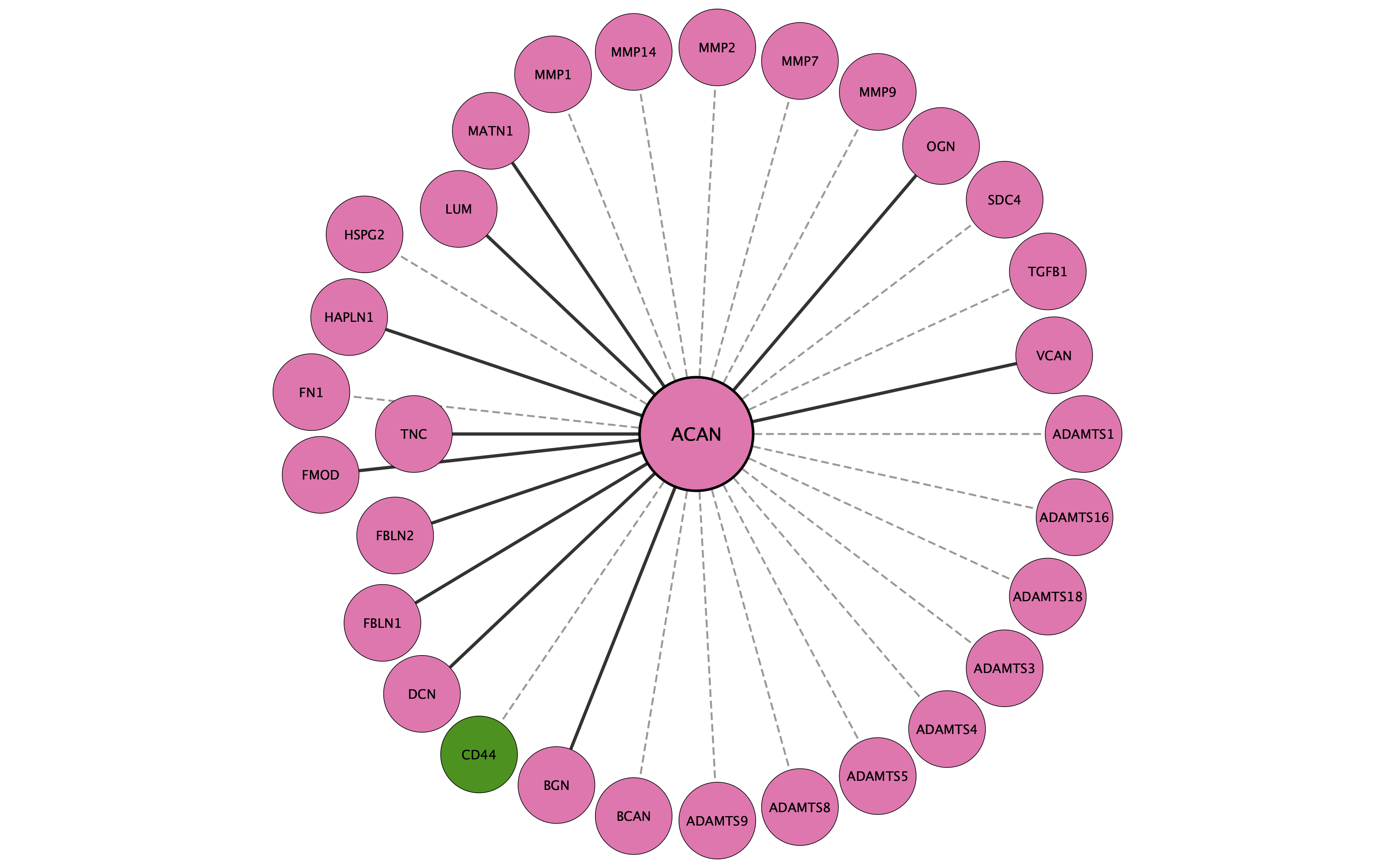 ACAN protein interaction network