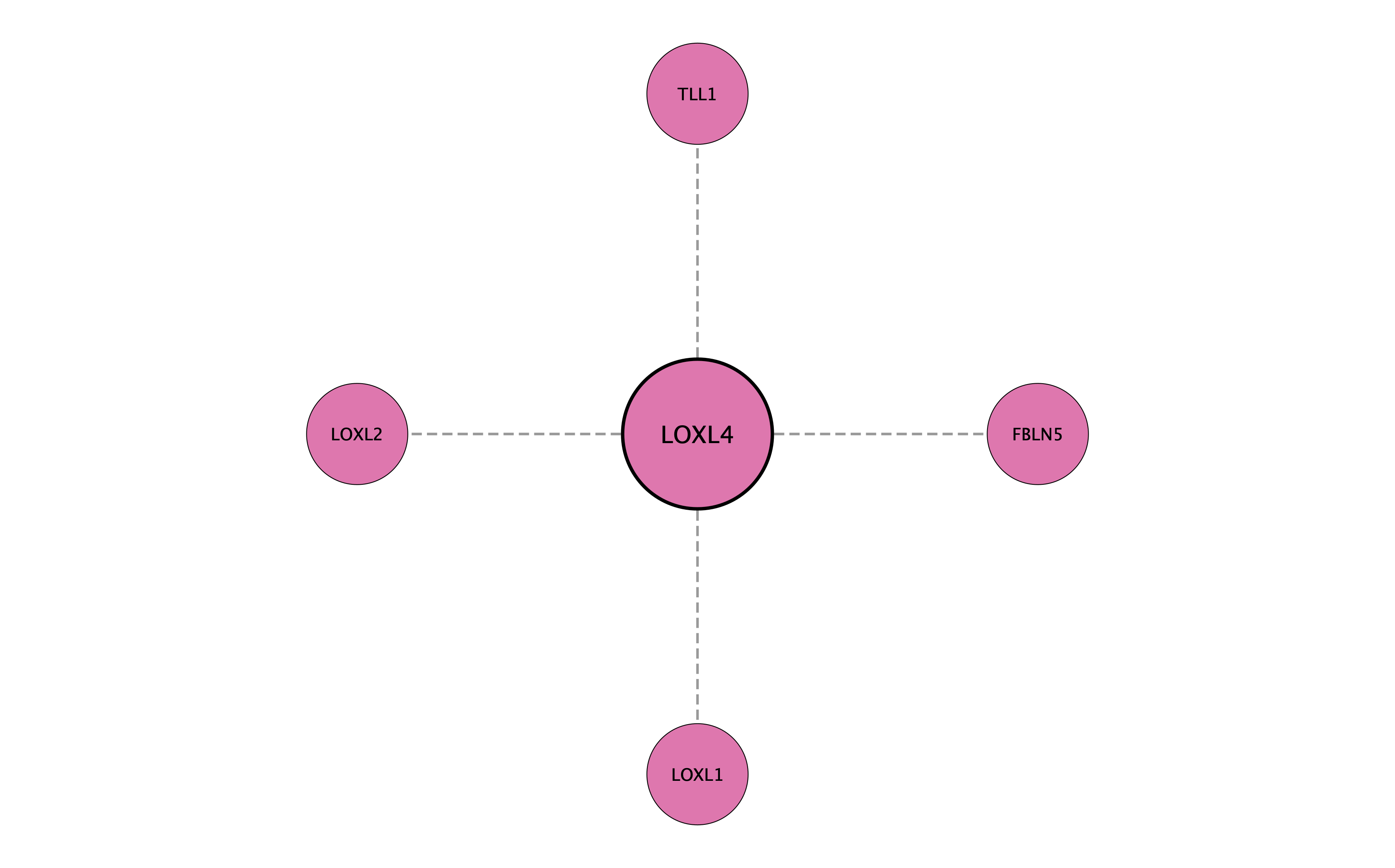 LOXL4 protein interaction network