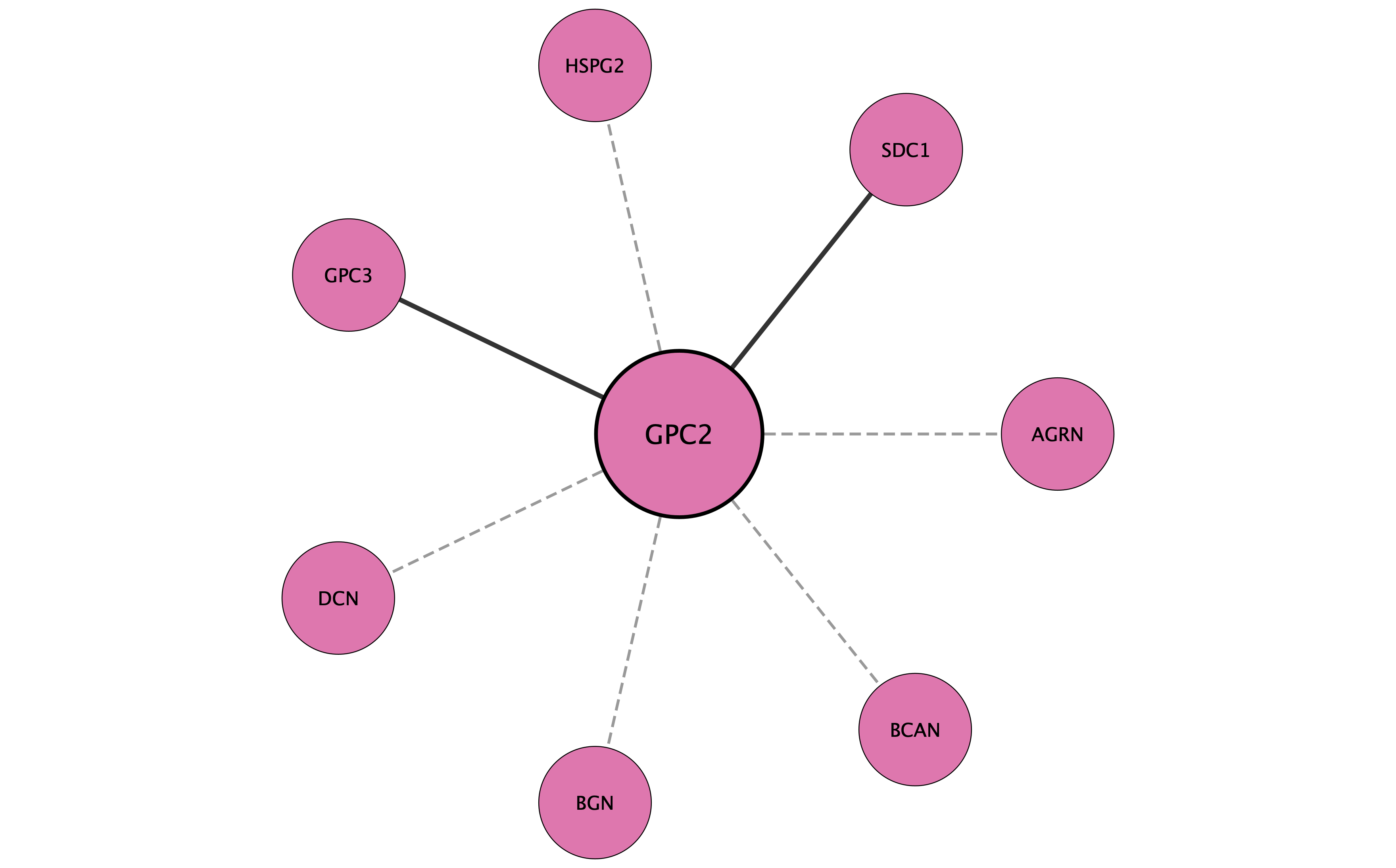 GPC2 protein interaction network