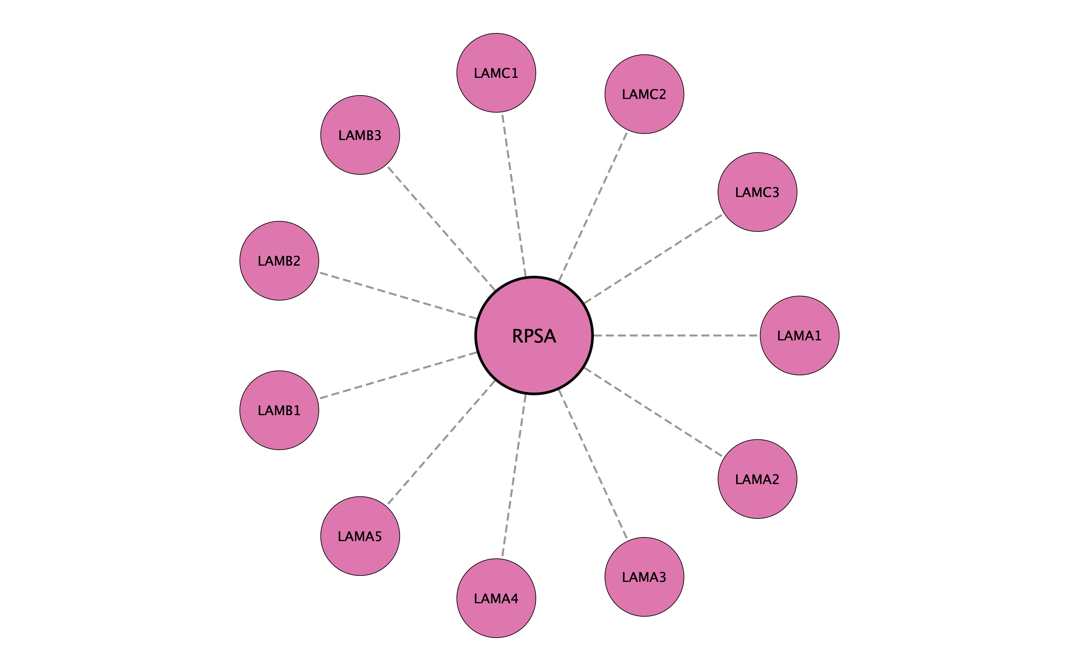 RPSA protein interaction network