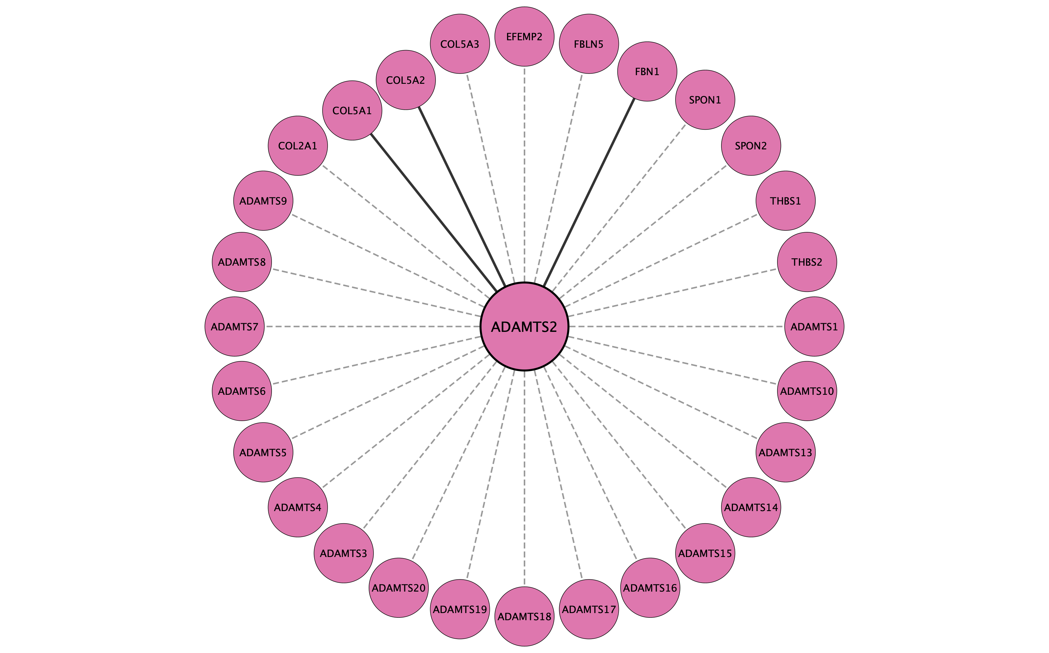 ADAMTS2 protein interaction network