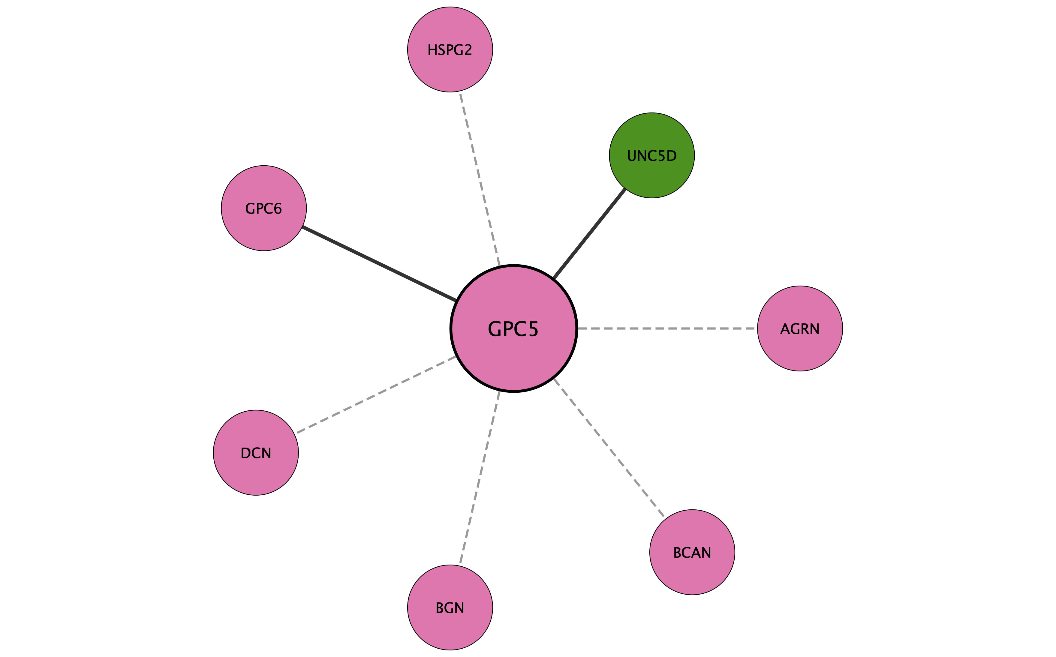 GPC5 protein interaction network
