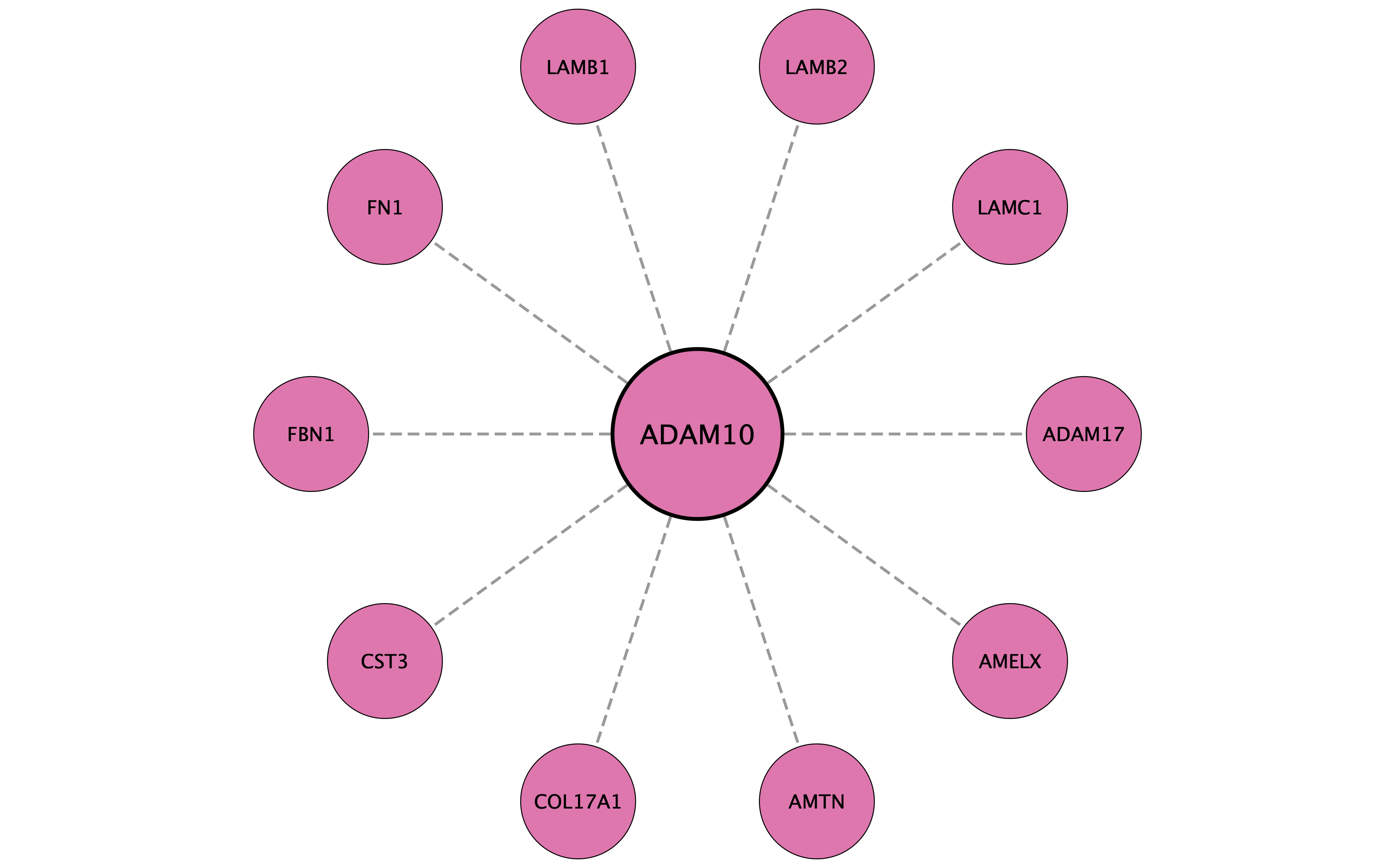 ADAM10 protein interaction network