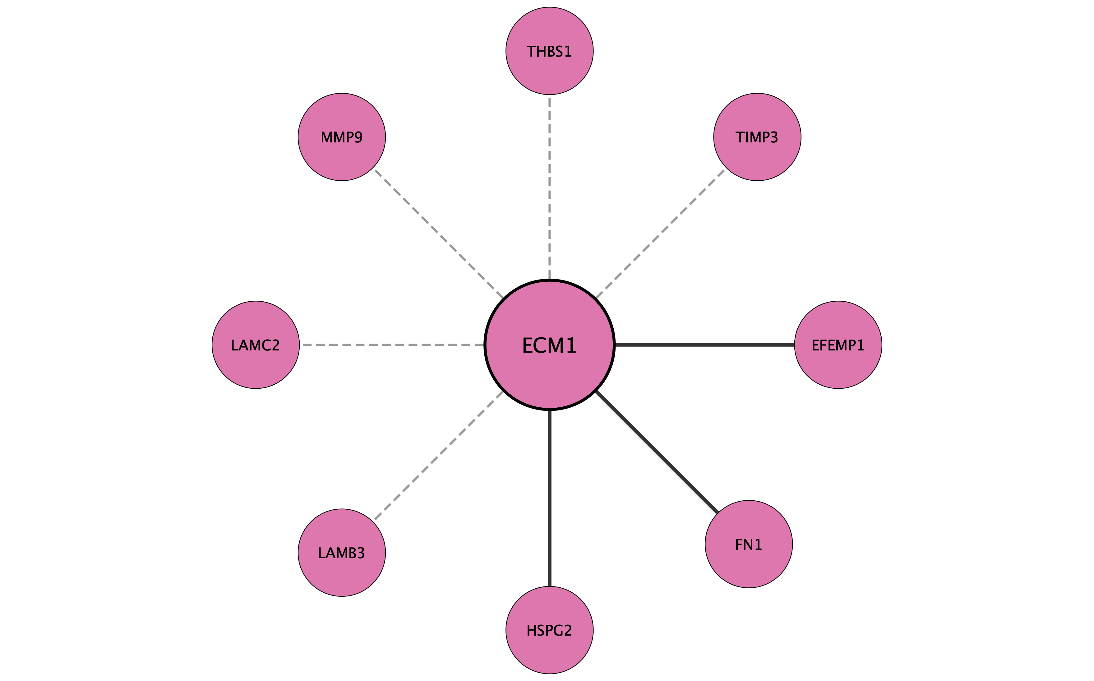 ECM1 protein interaction network