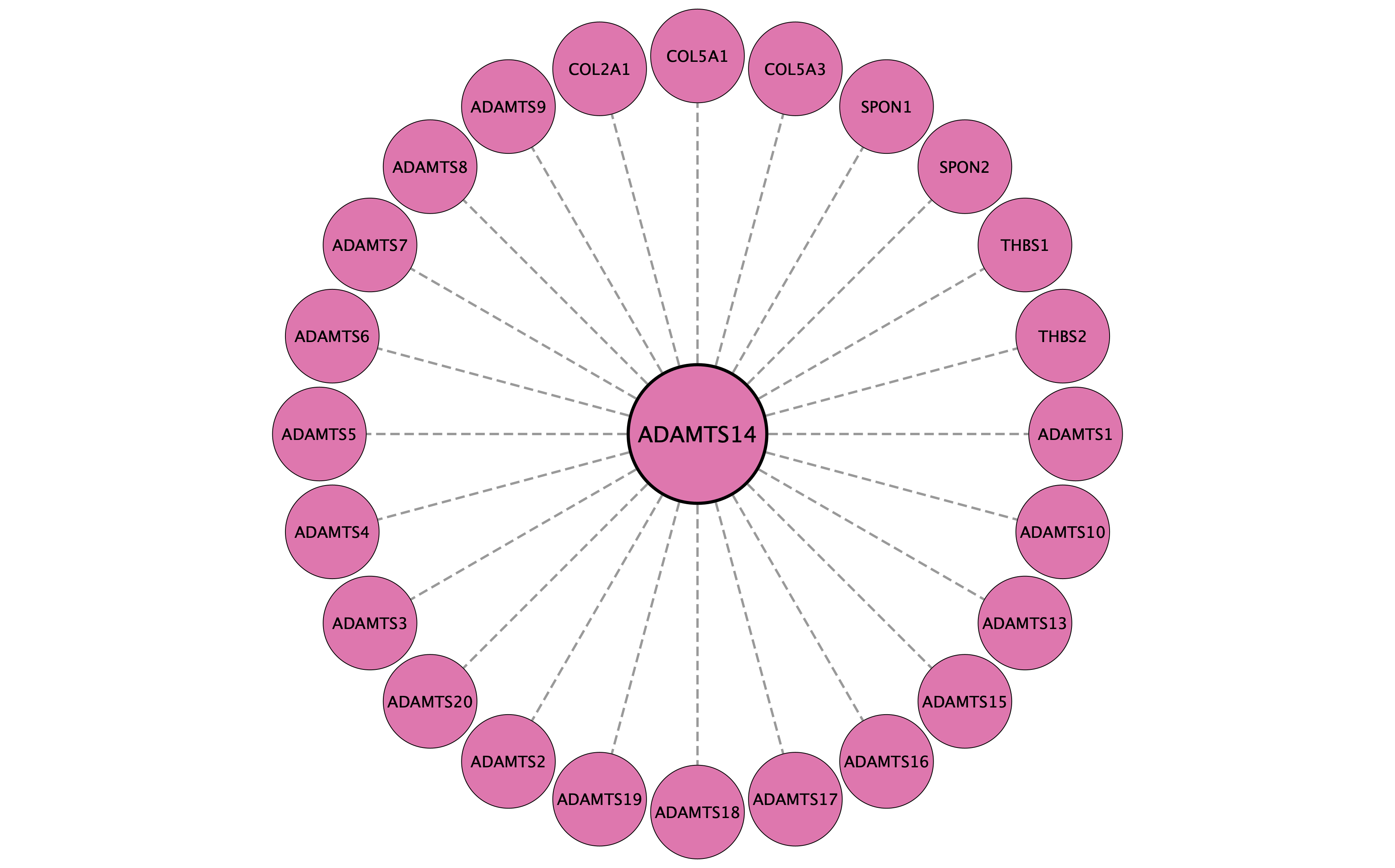 ADAMTS14 protein interaction network