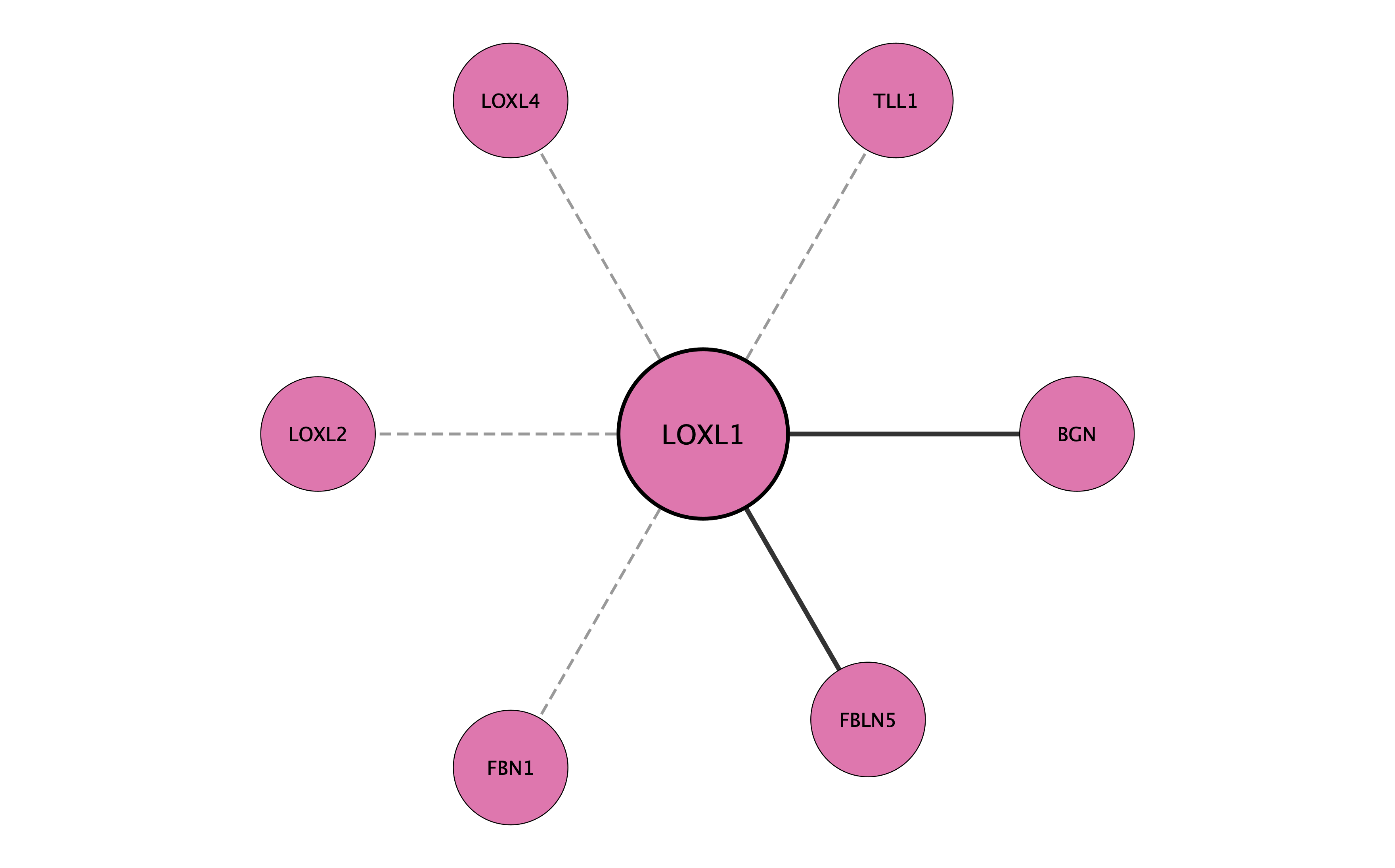 LOXL1 protein interaction network