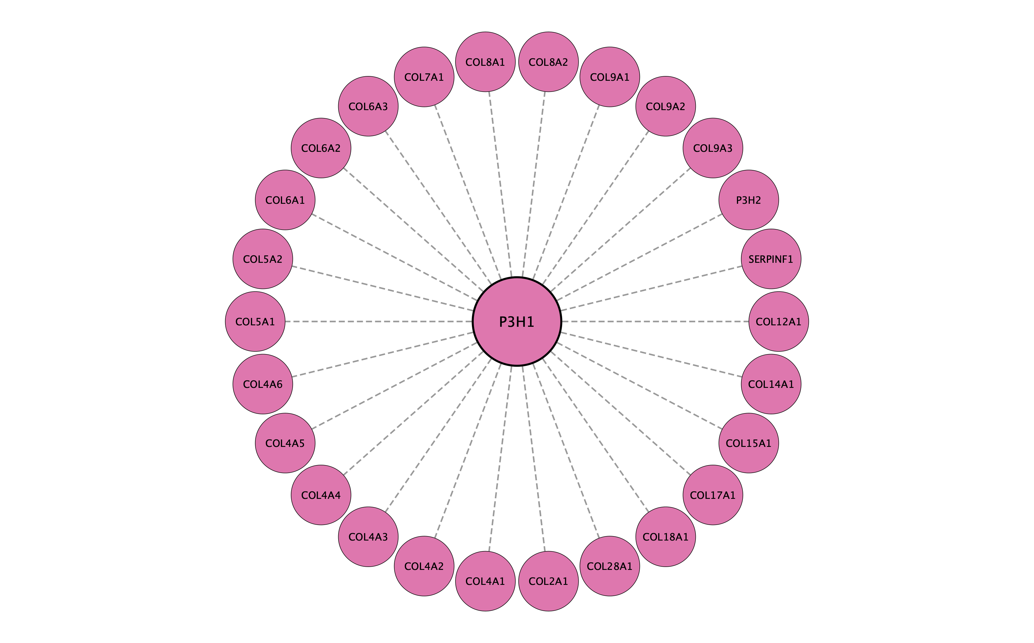 P3H1 protein interaction network