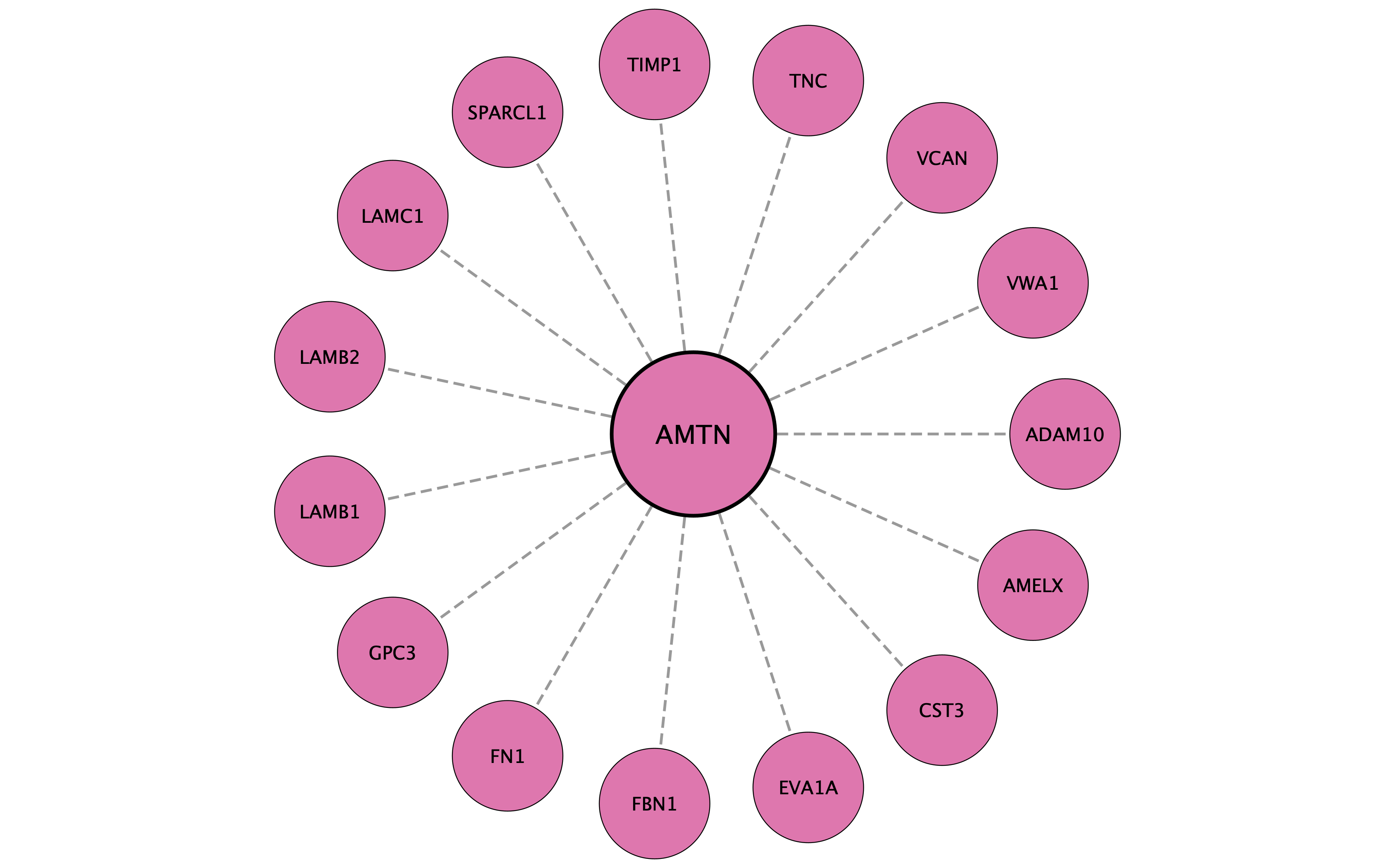 AMTN protein interaction network