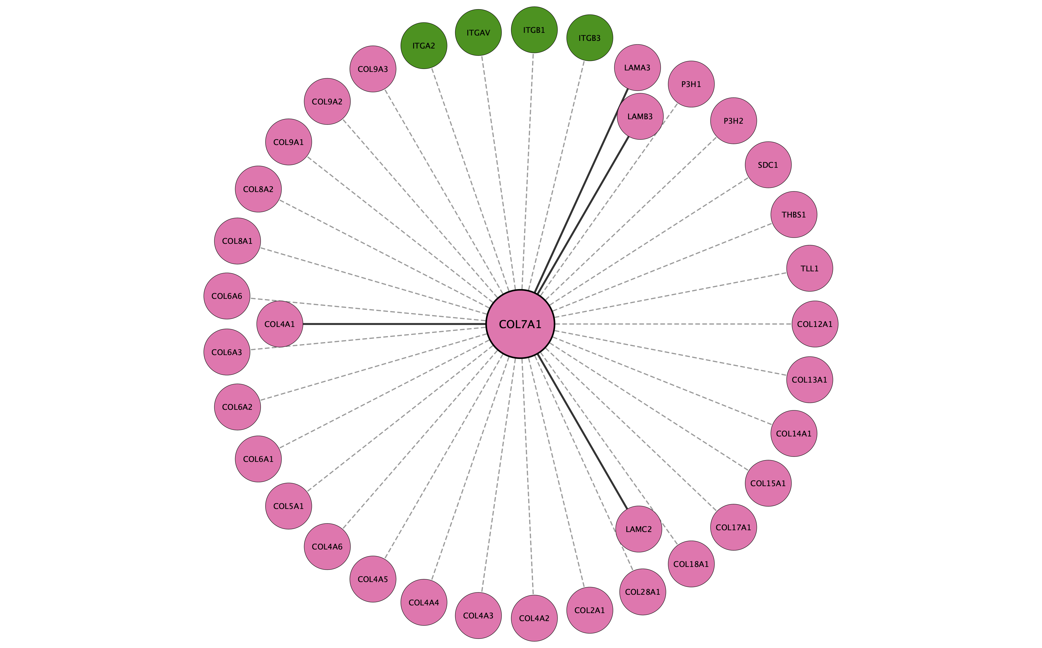 COL7A1 protein interaction network