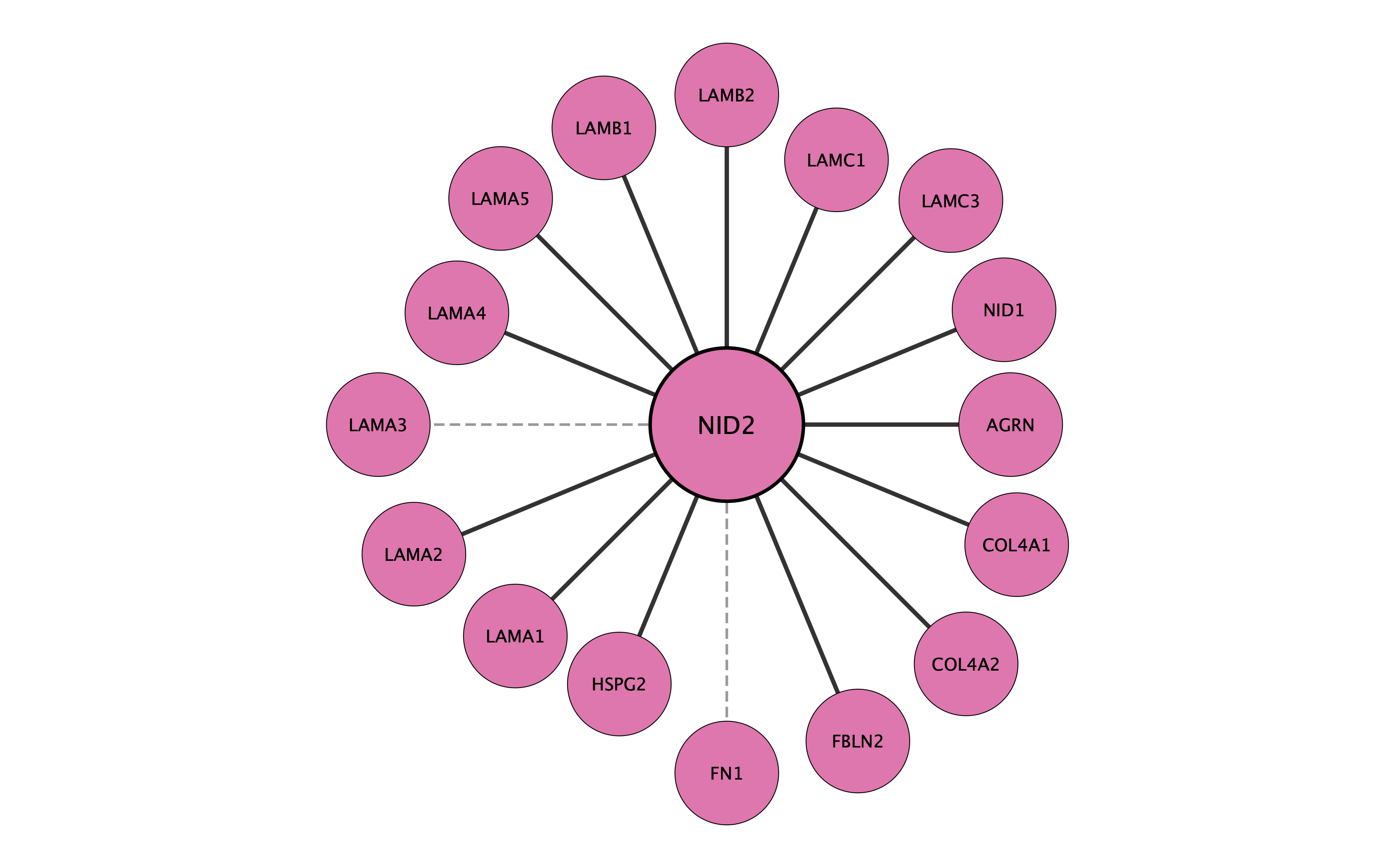 NID2 protein interaction network