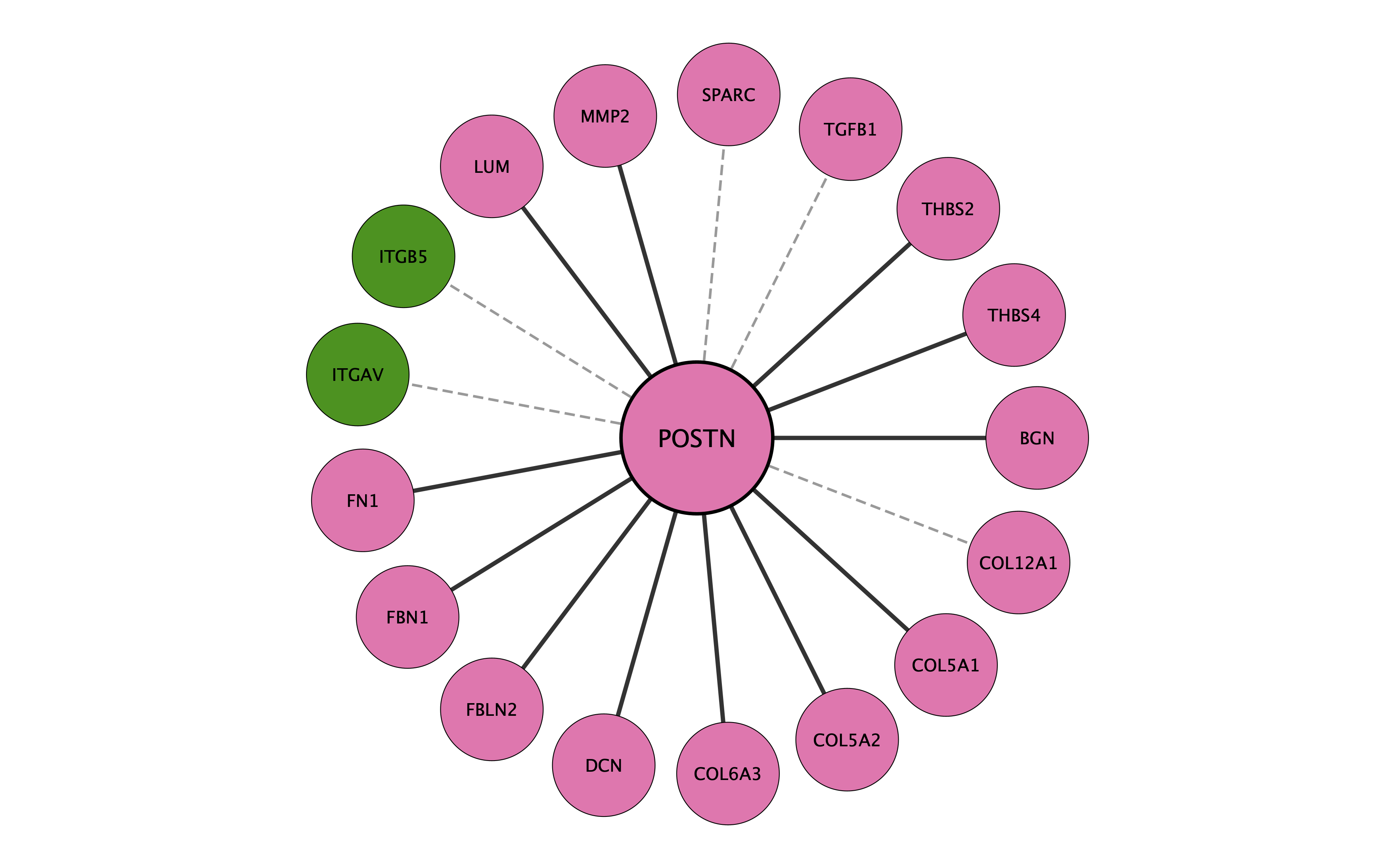 POSTN protein interaction network