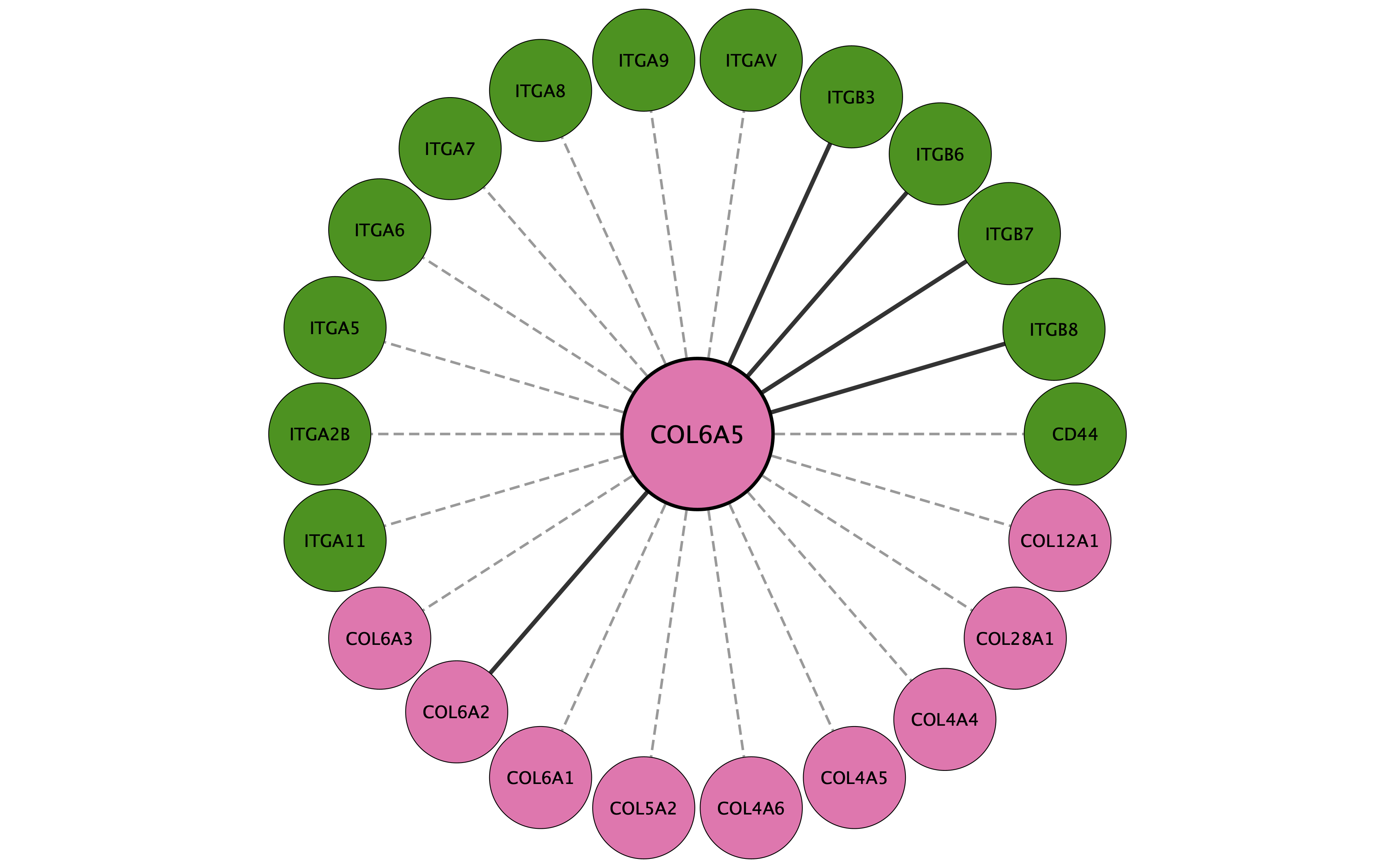COL6A5 protein interaction network