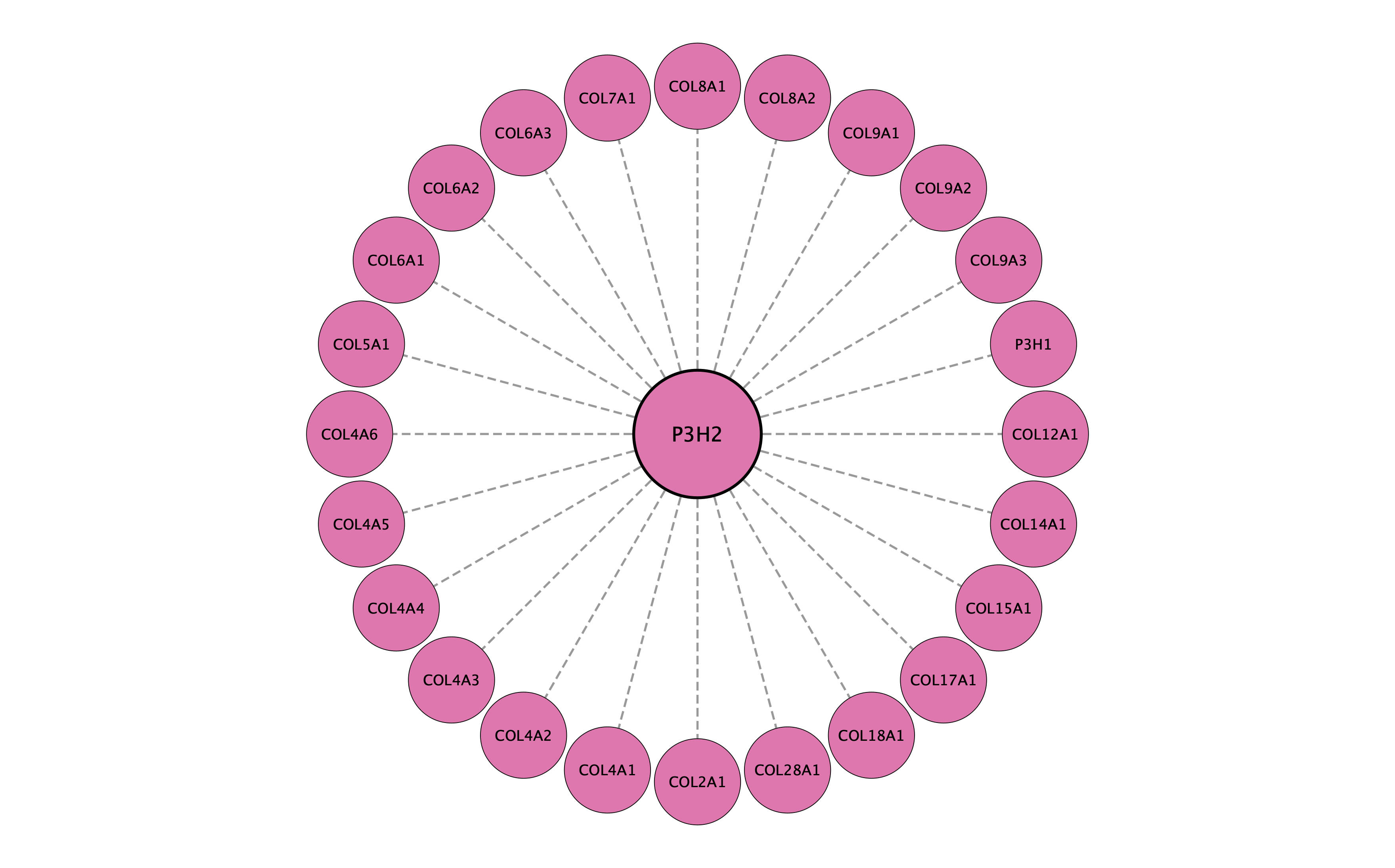 P3H2 protein interaction network