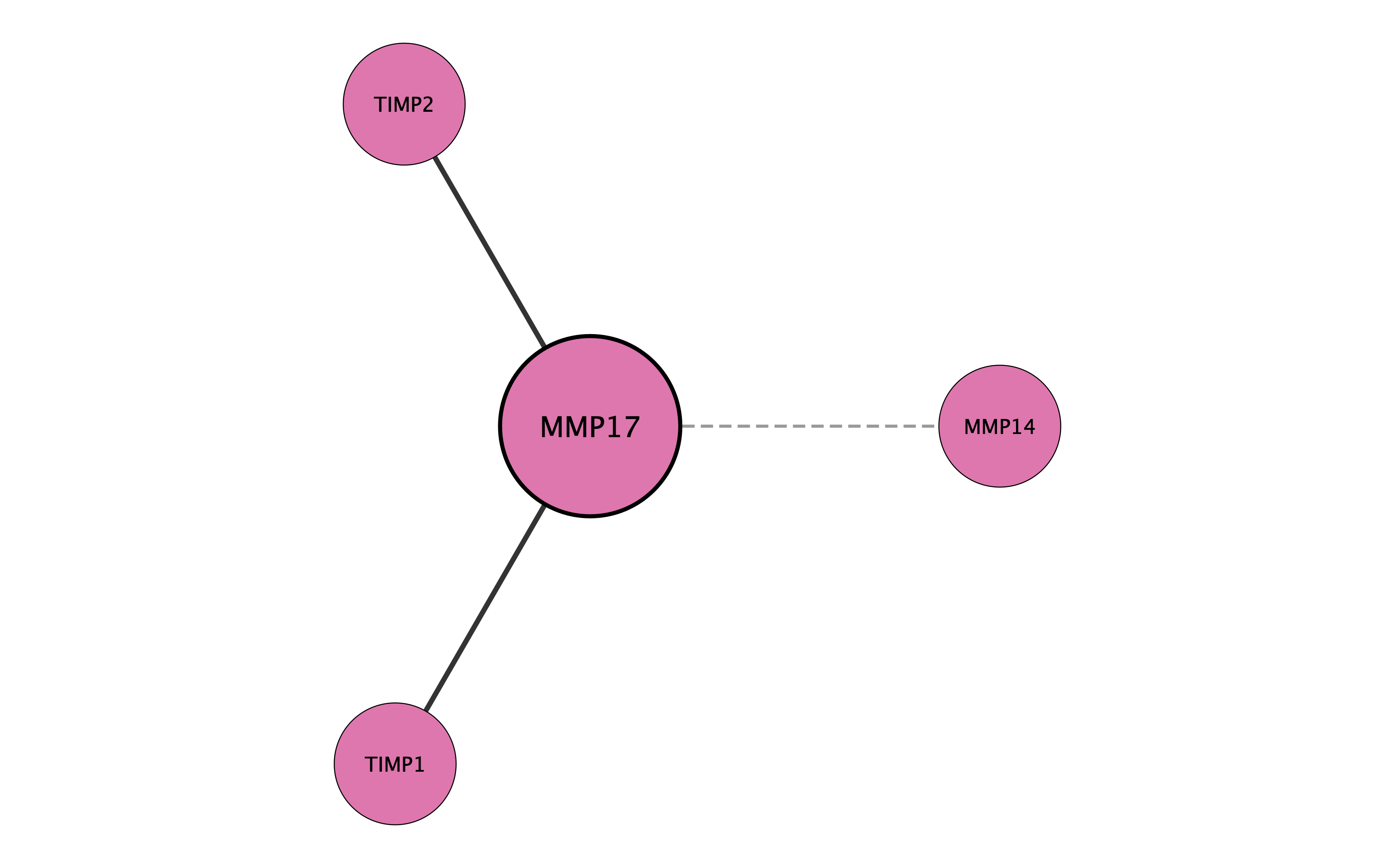 MMP17 protein interaction network