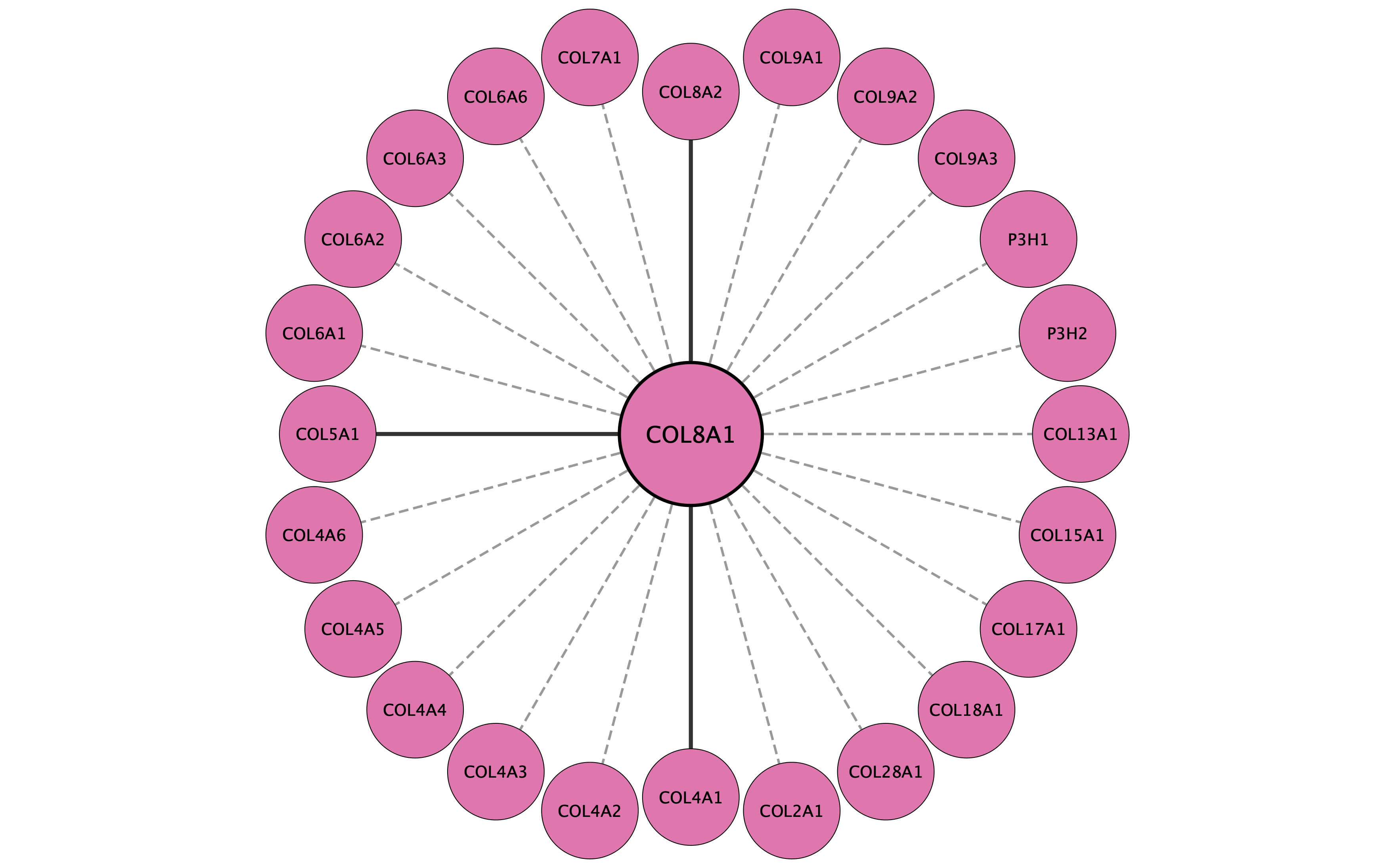 COL8A1 protein interaction network