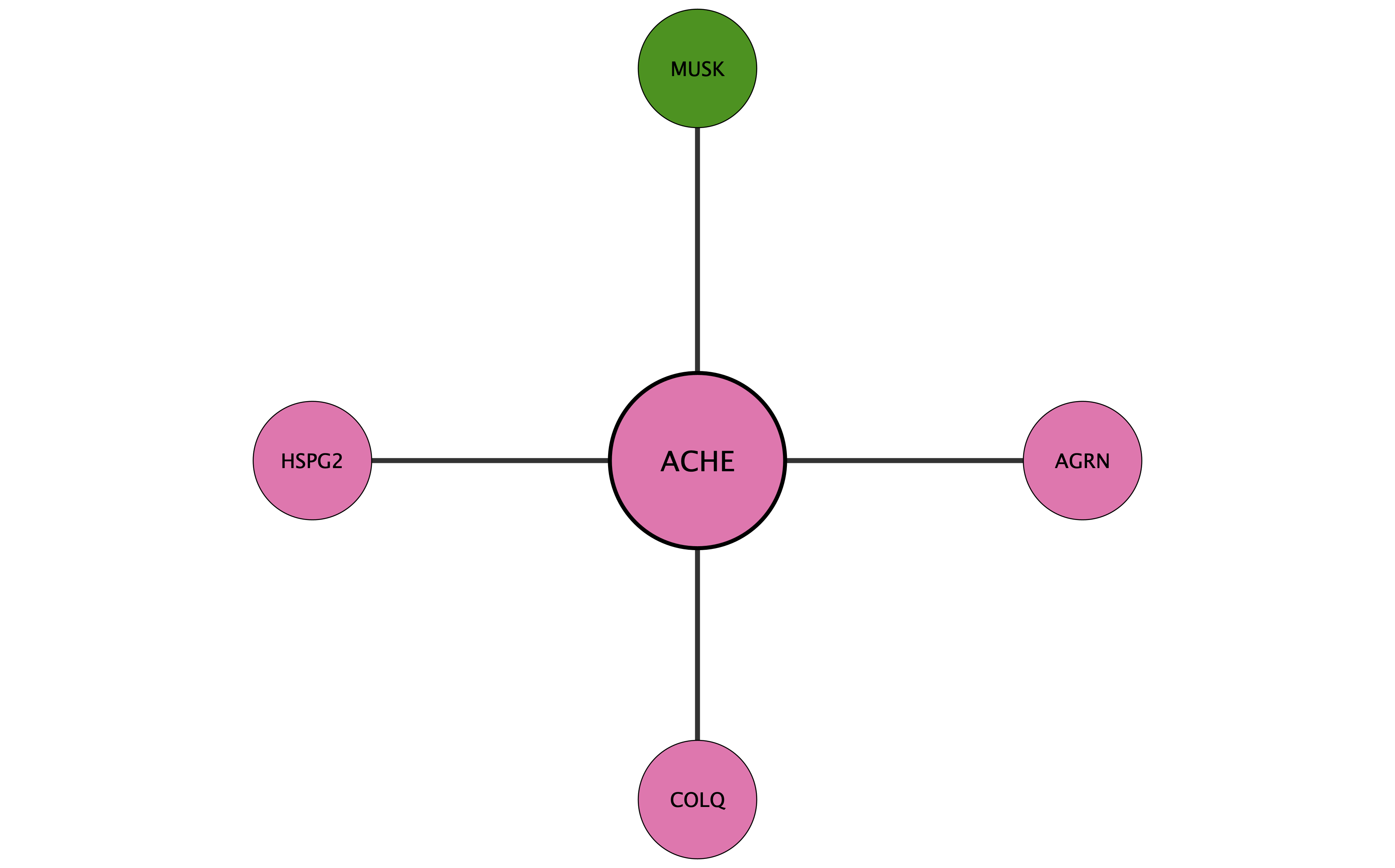 ACHE protein interaction network
