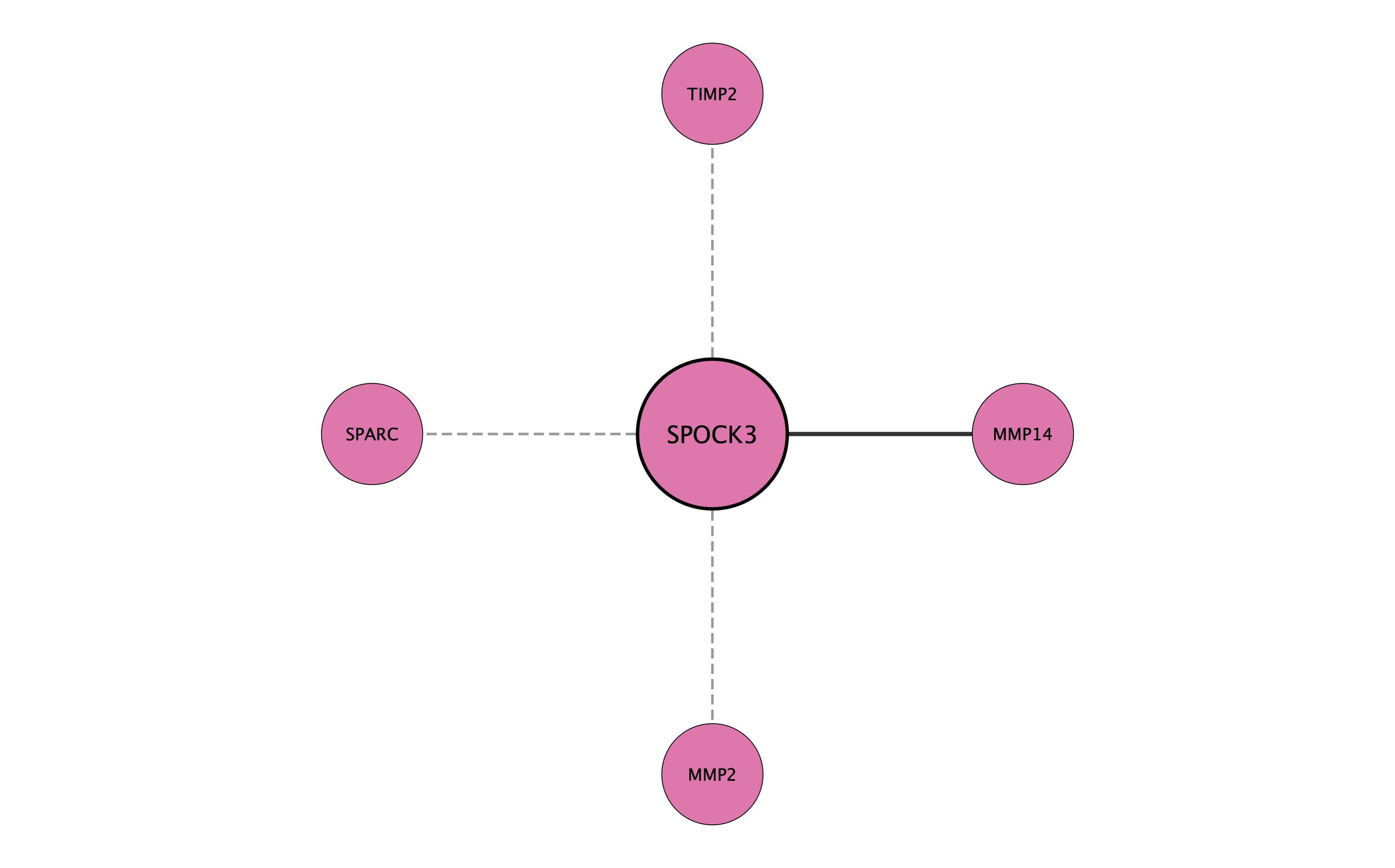 SPOCK3 protein interaction network