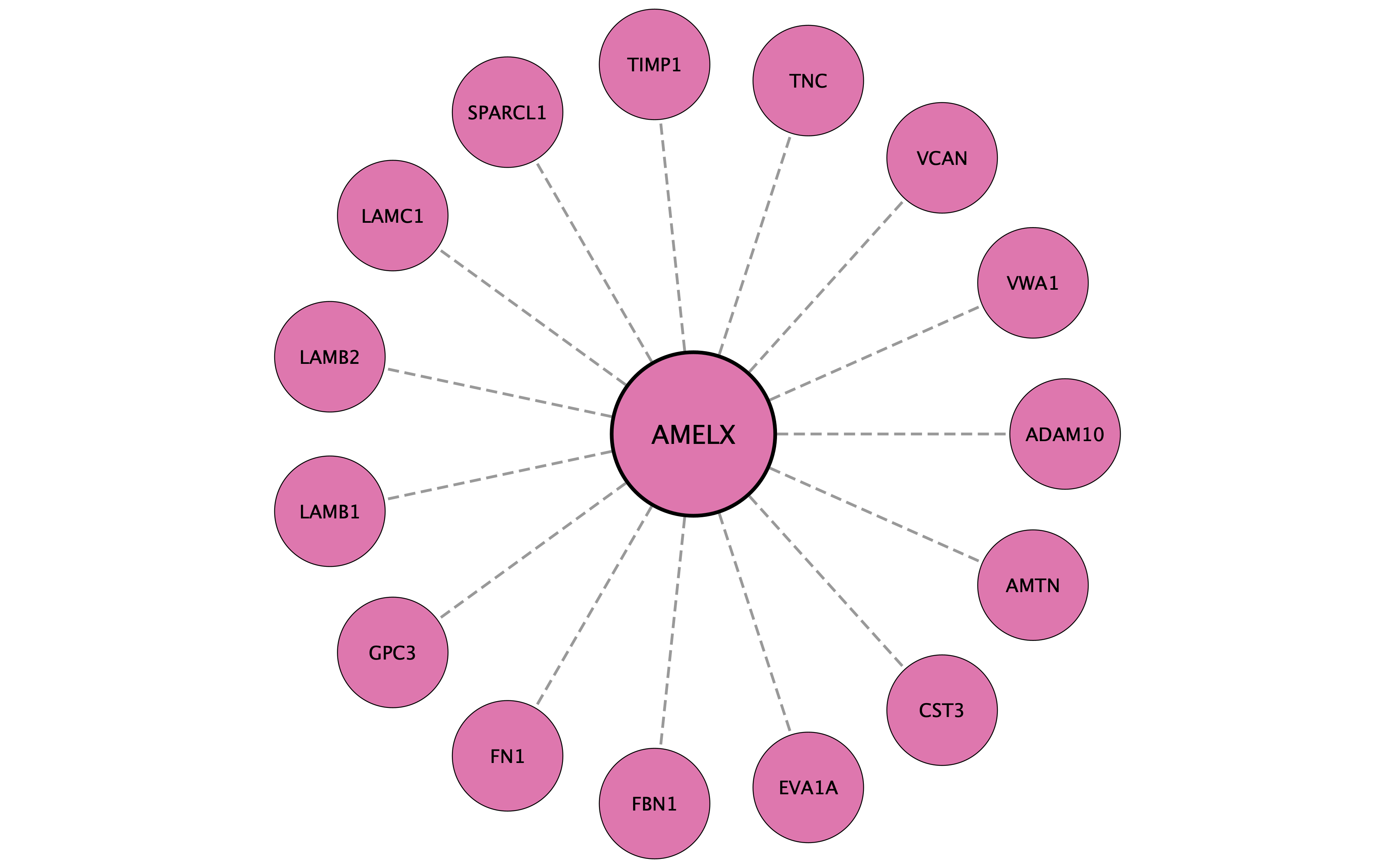 AMELX protein interaction network