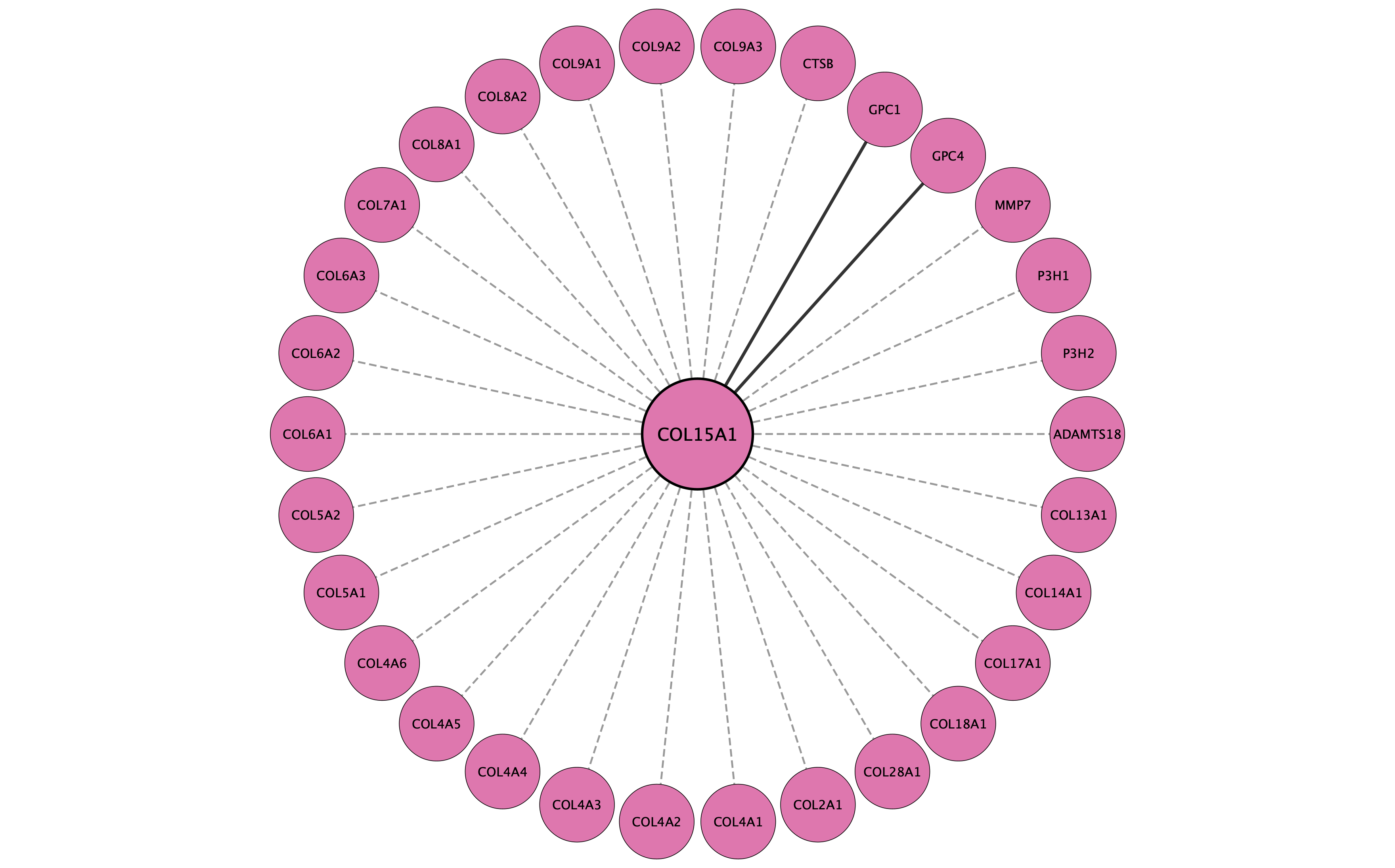 COL15A1 protein interaction network