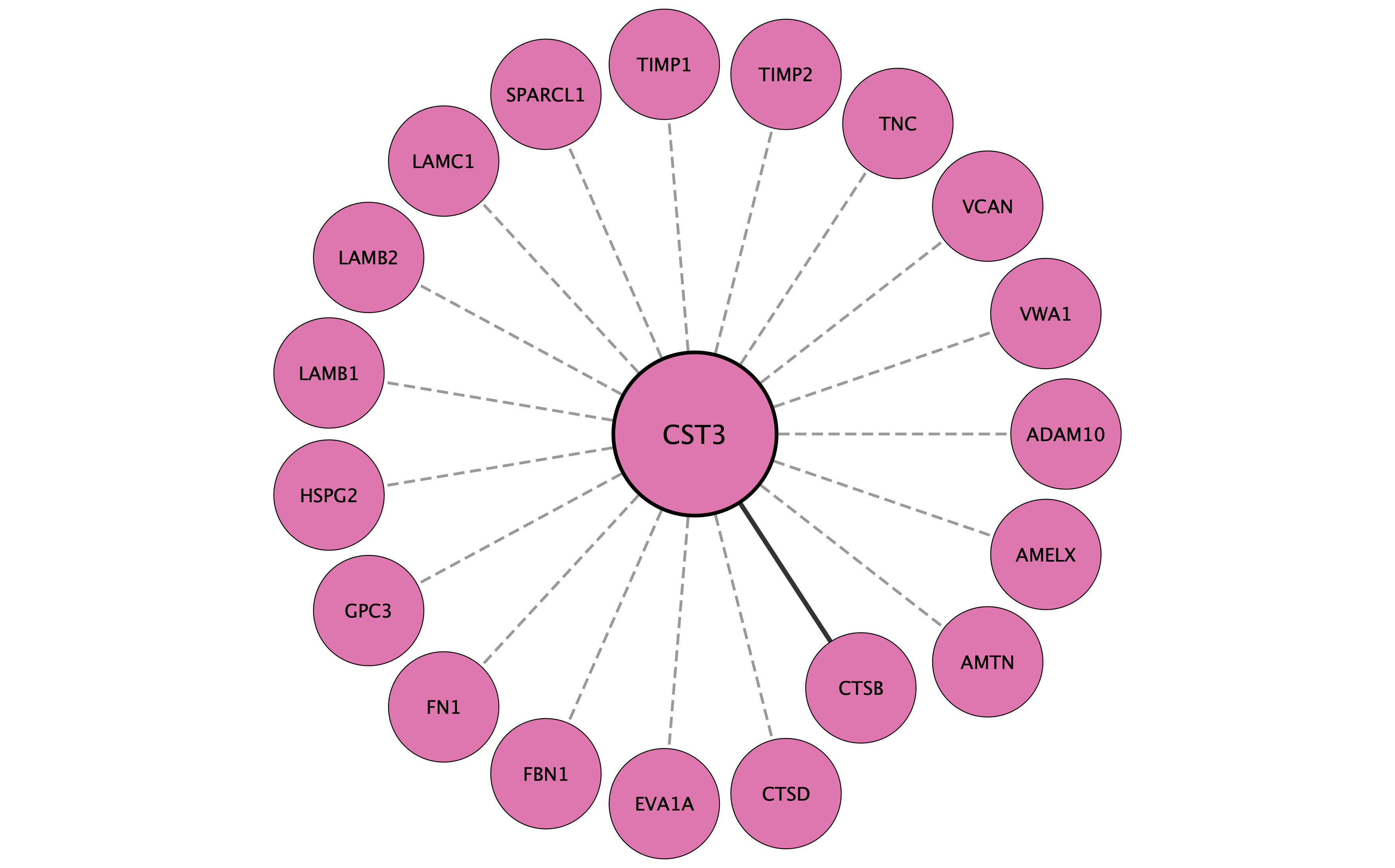 CST3 protein interaction network