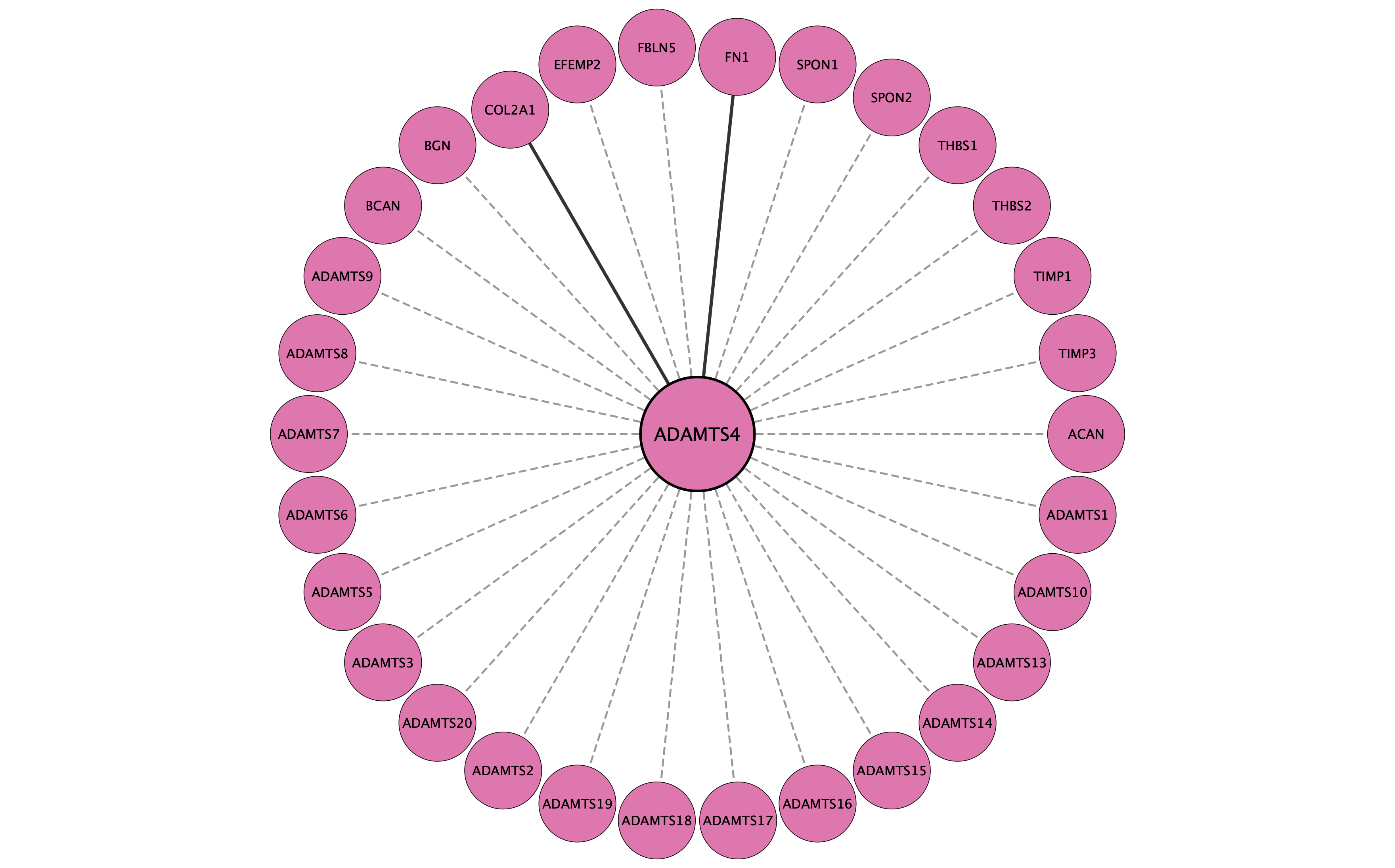 ADAMTS4 protein interaction network