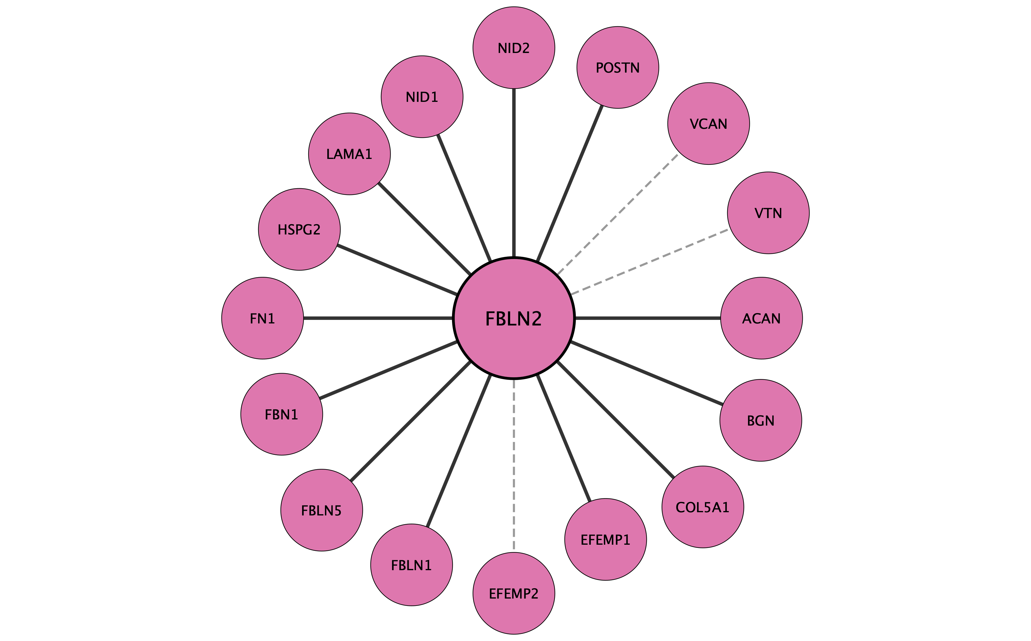 FBLN2 protein interaction network