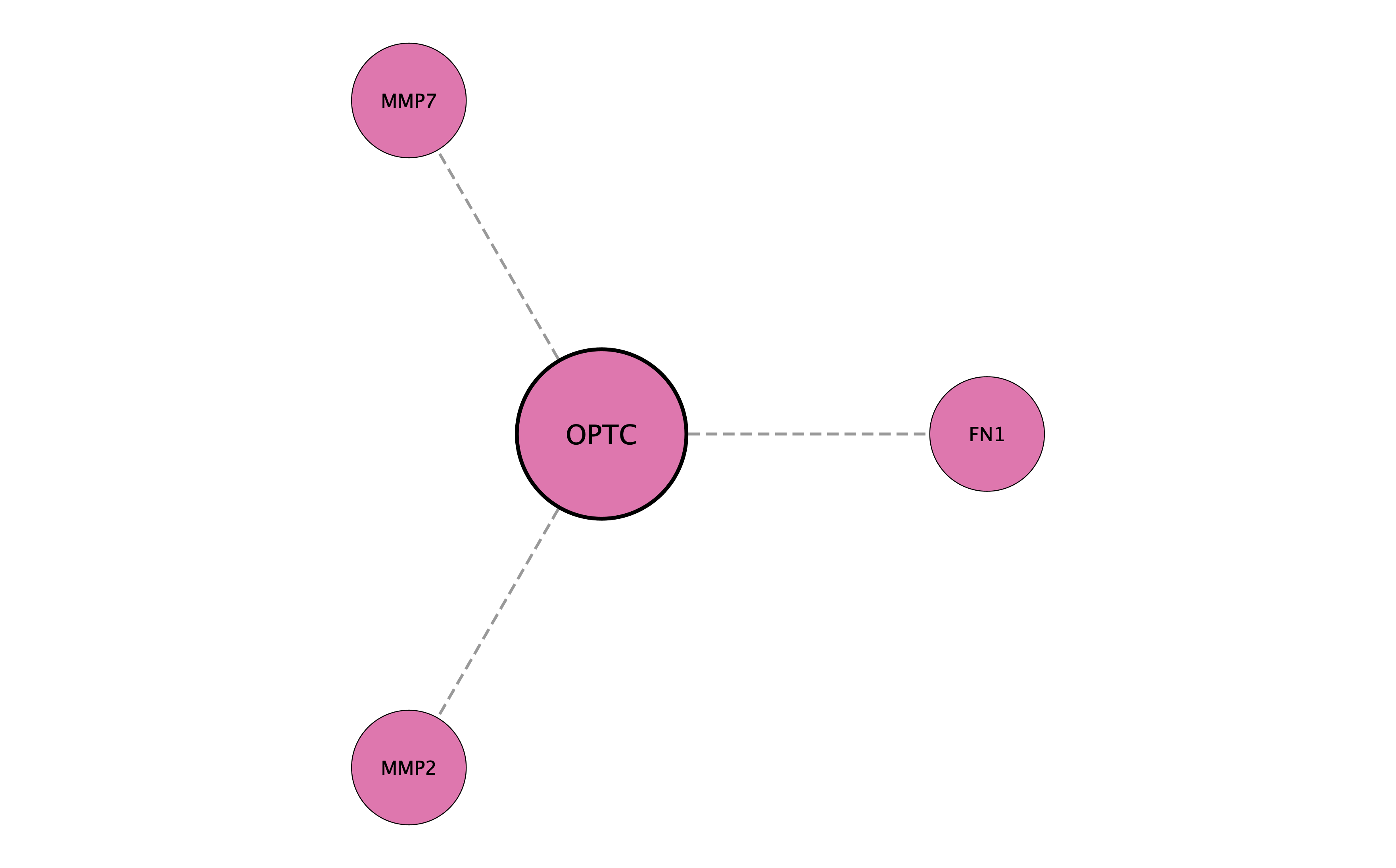 OPTC protein interaction network