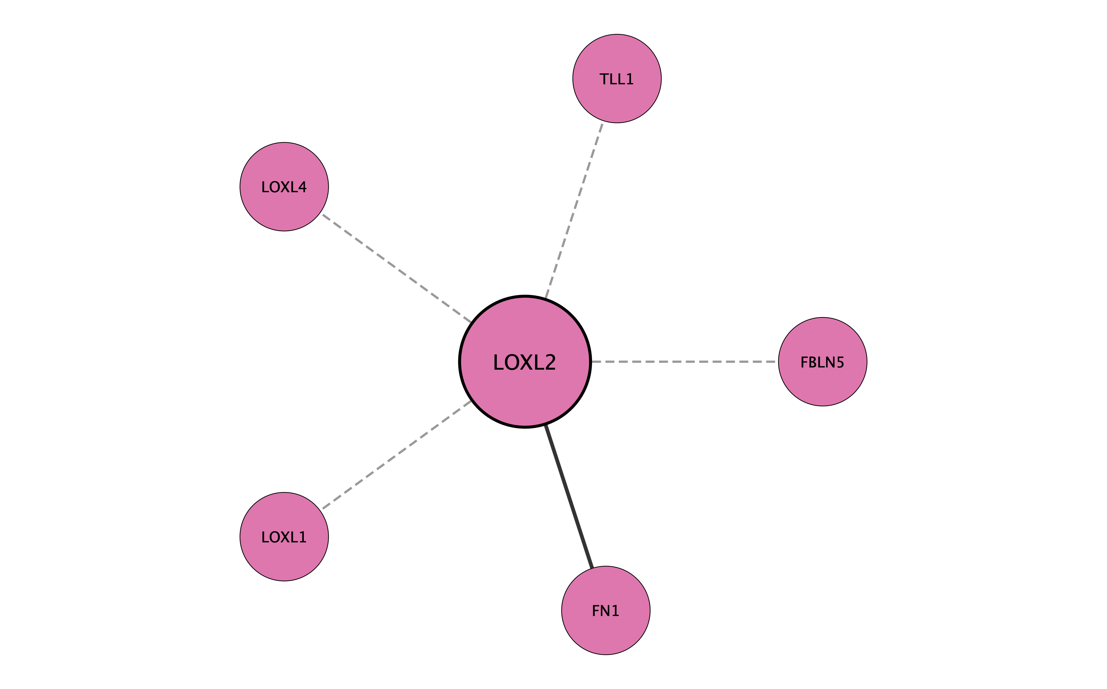 LOXL2 protein interaction network
