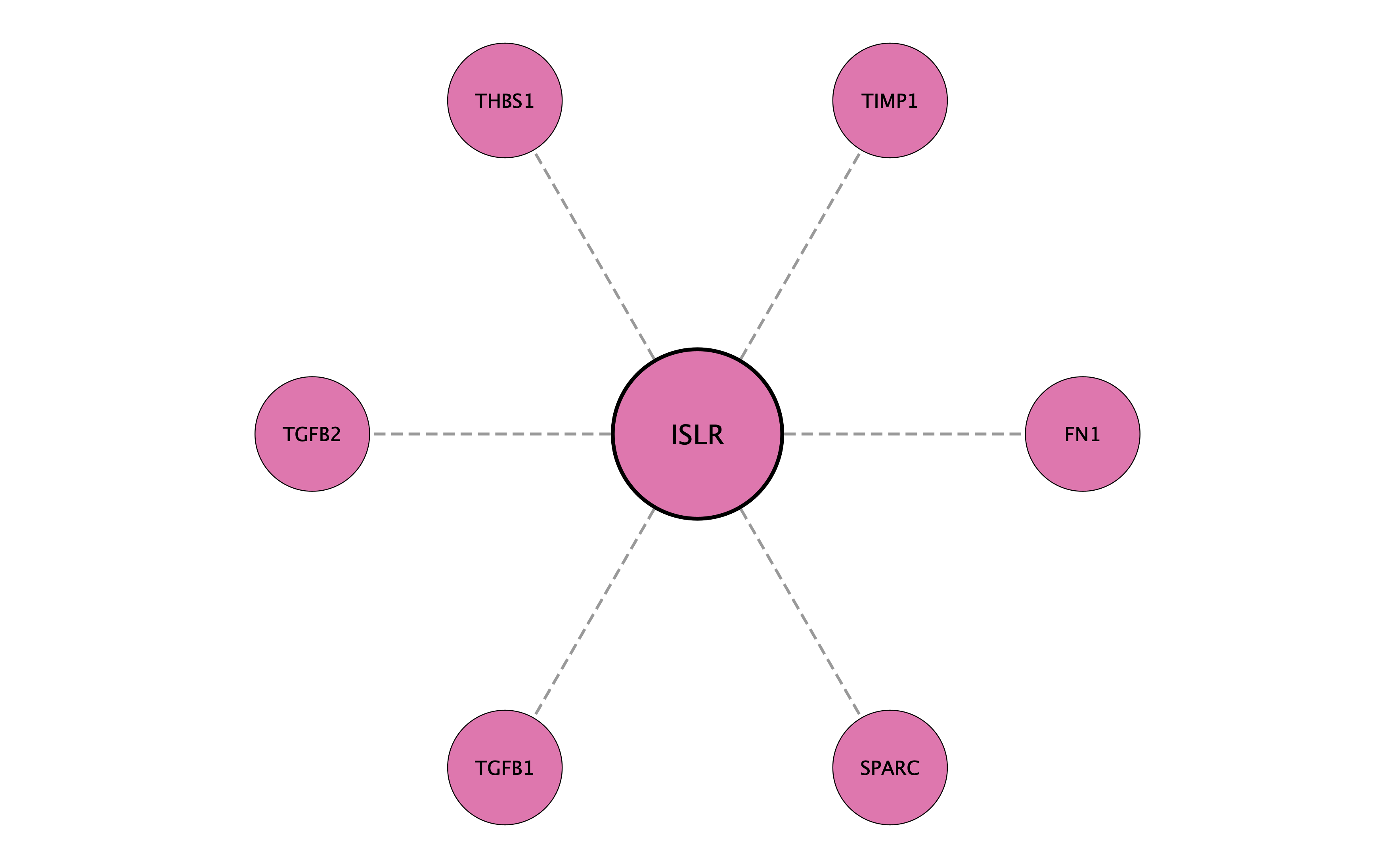 ISLR protein interaction network