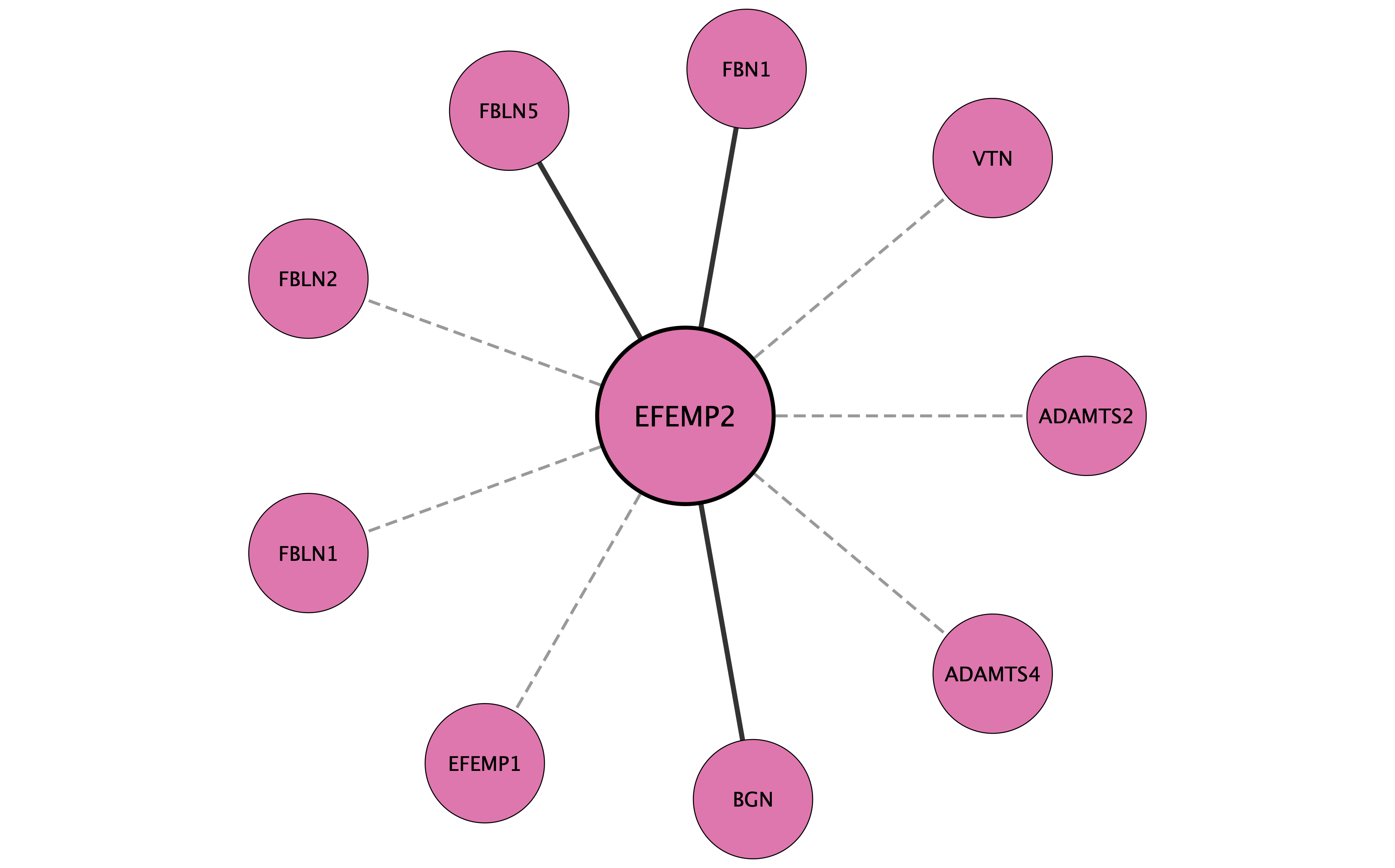 EFEMP2 protein interaction network