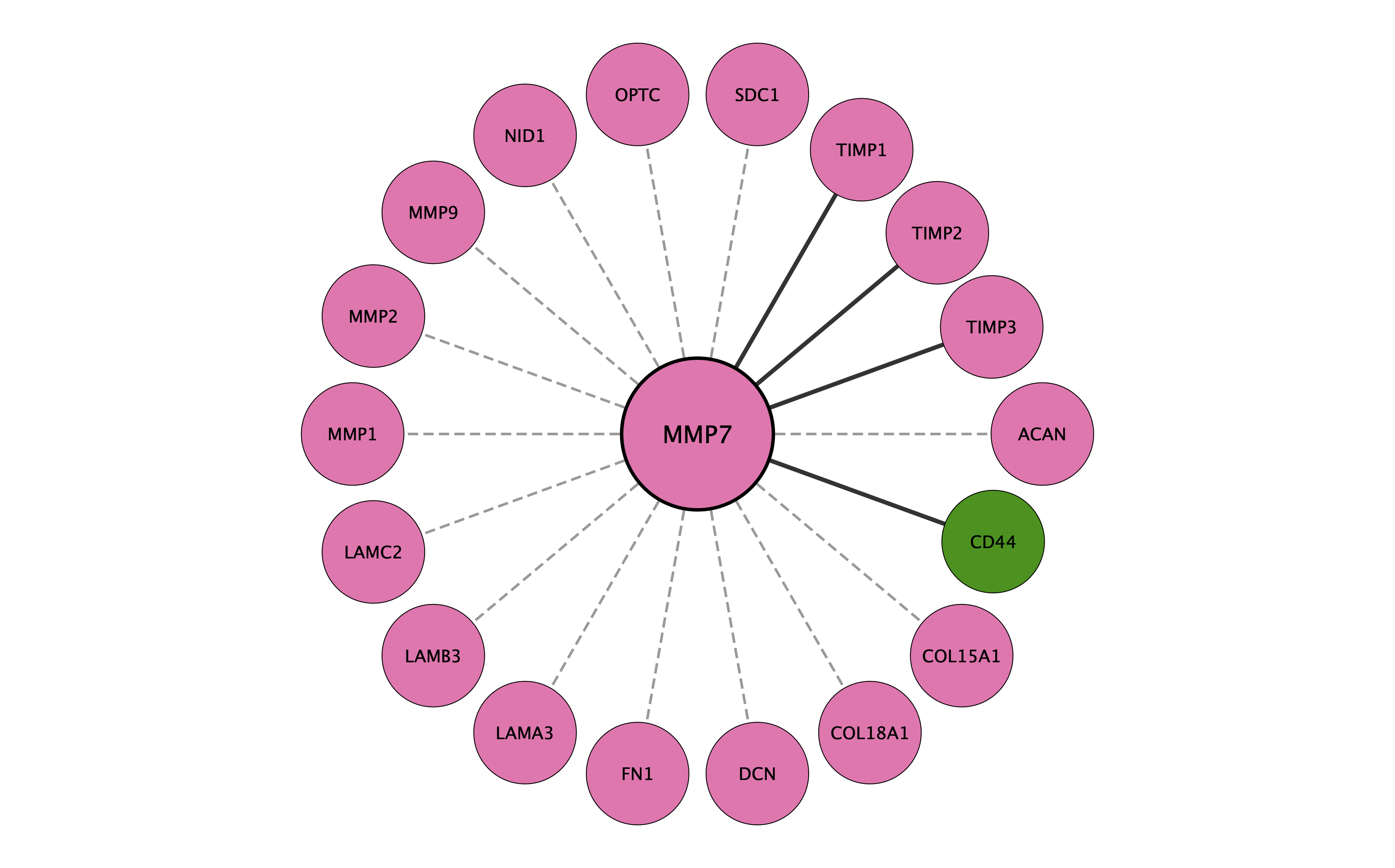 MMP7 protein interaction network