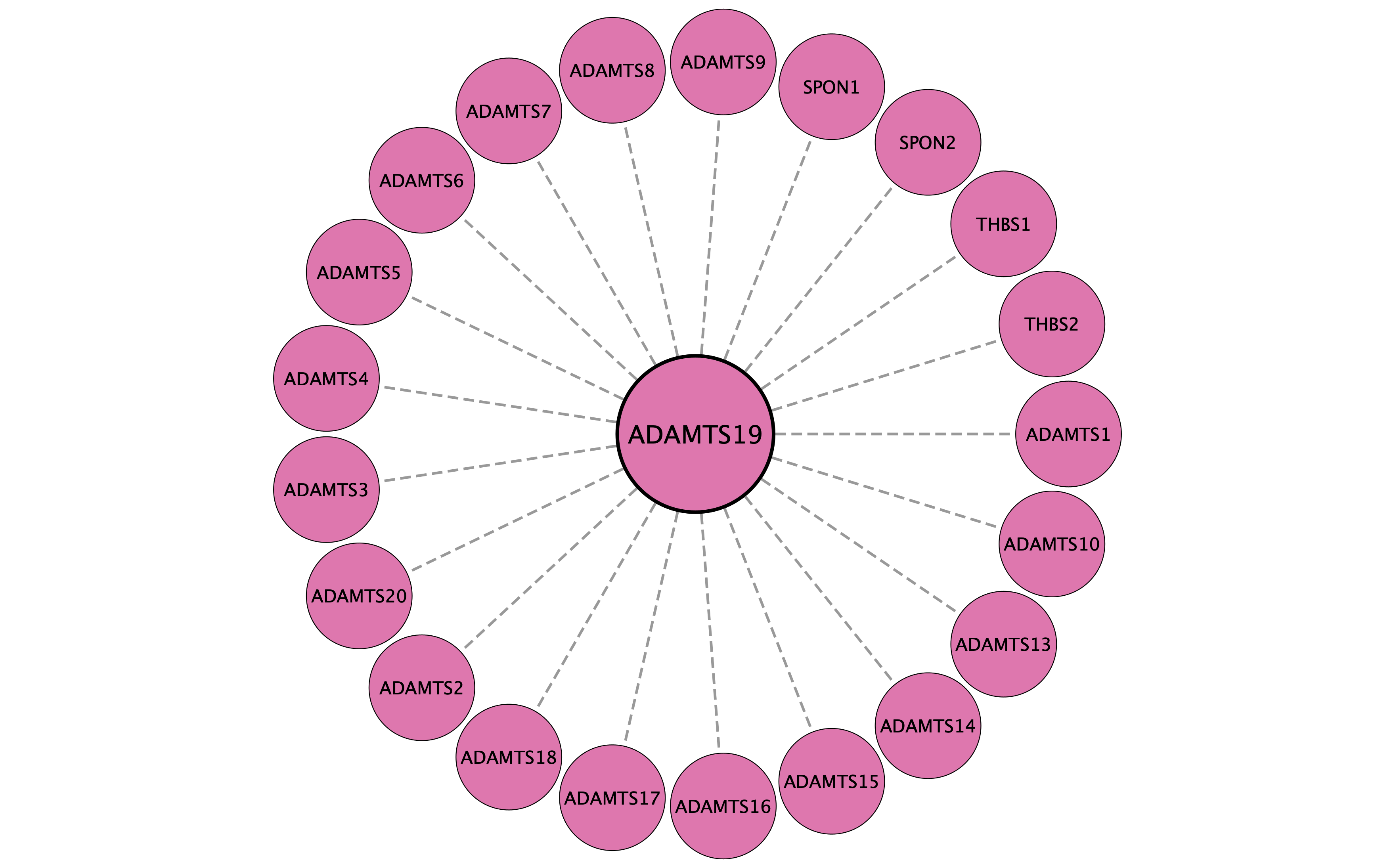 ADAMTS19 protein interaction network