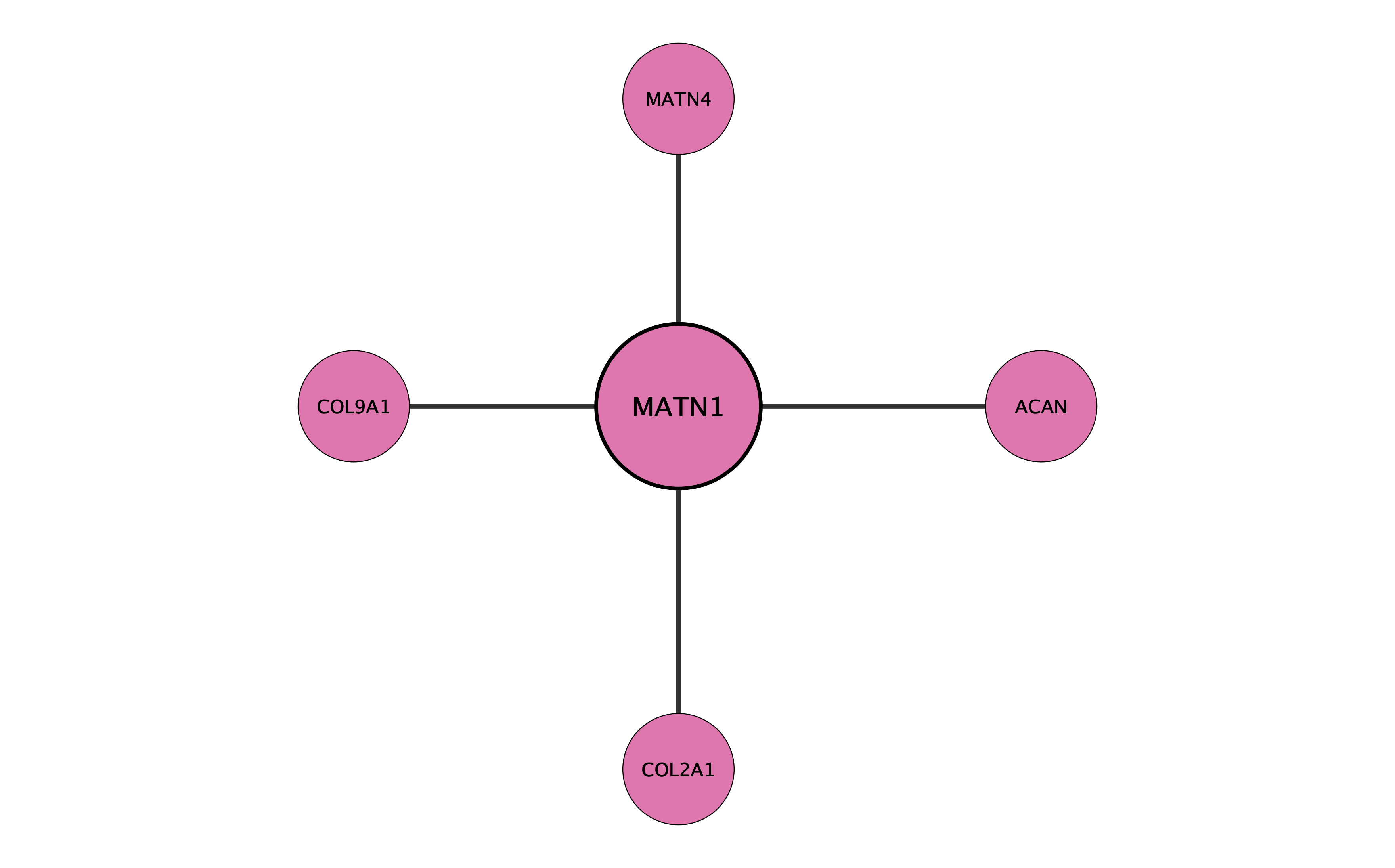 MATN1 protein interaction network