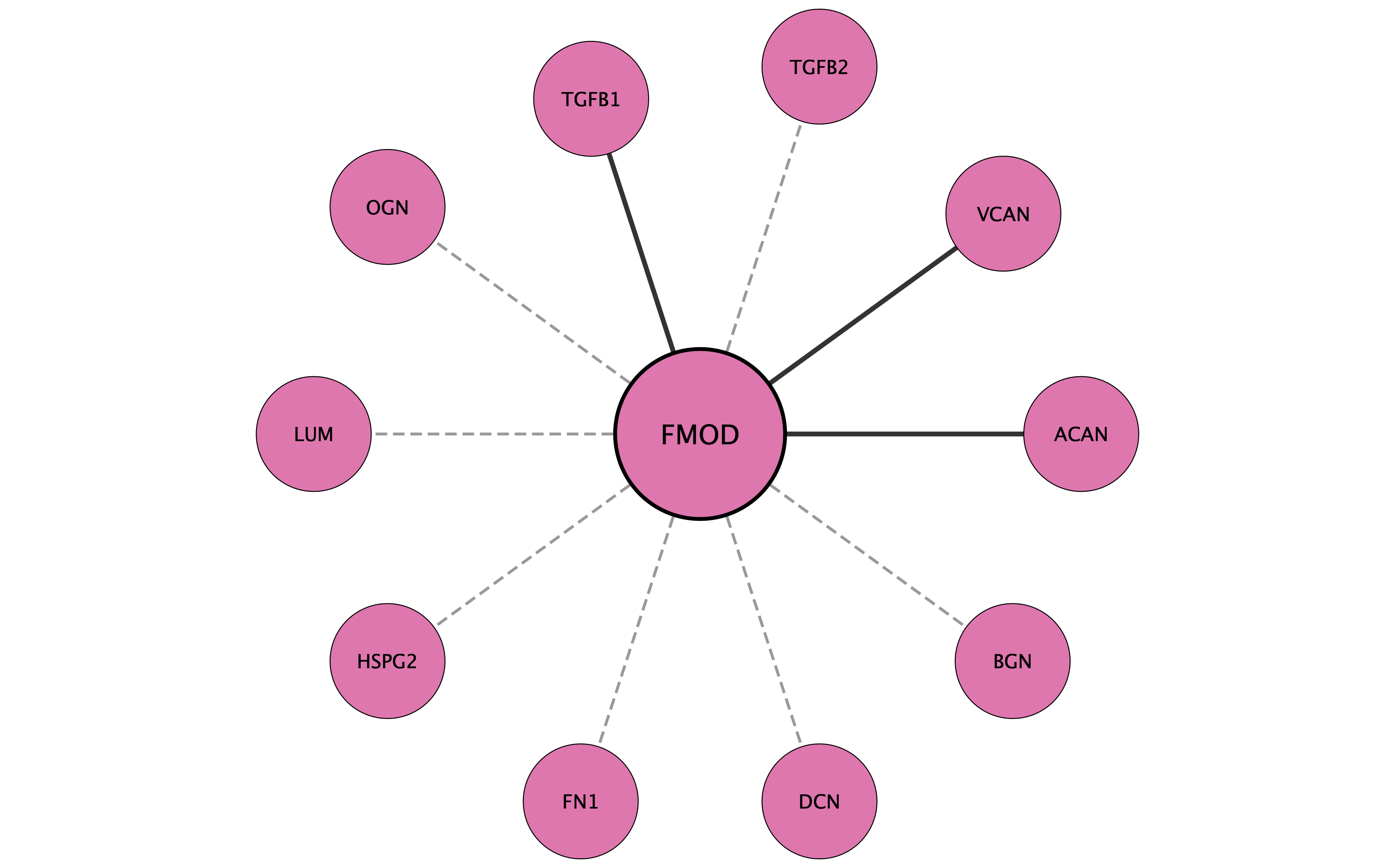 FMOD protein interaction network