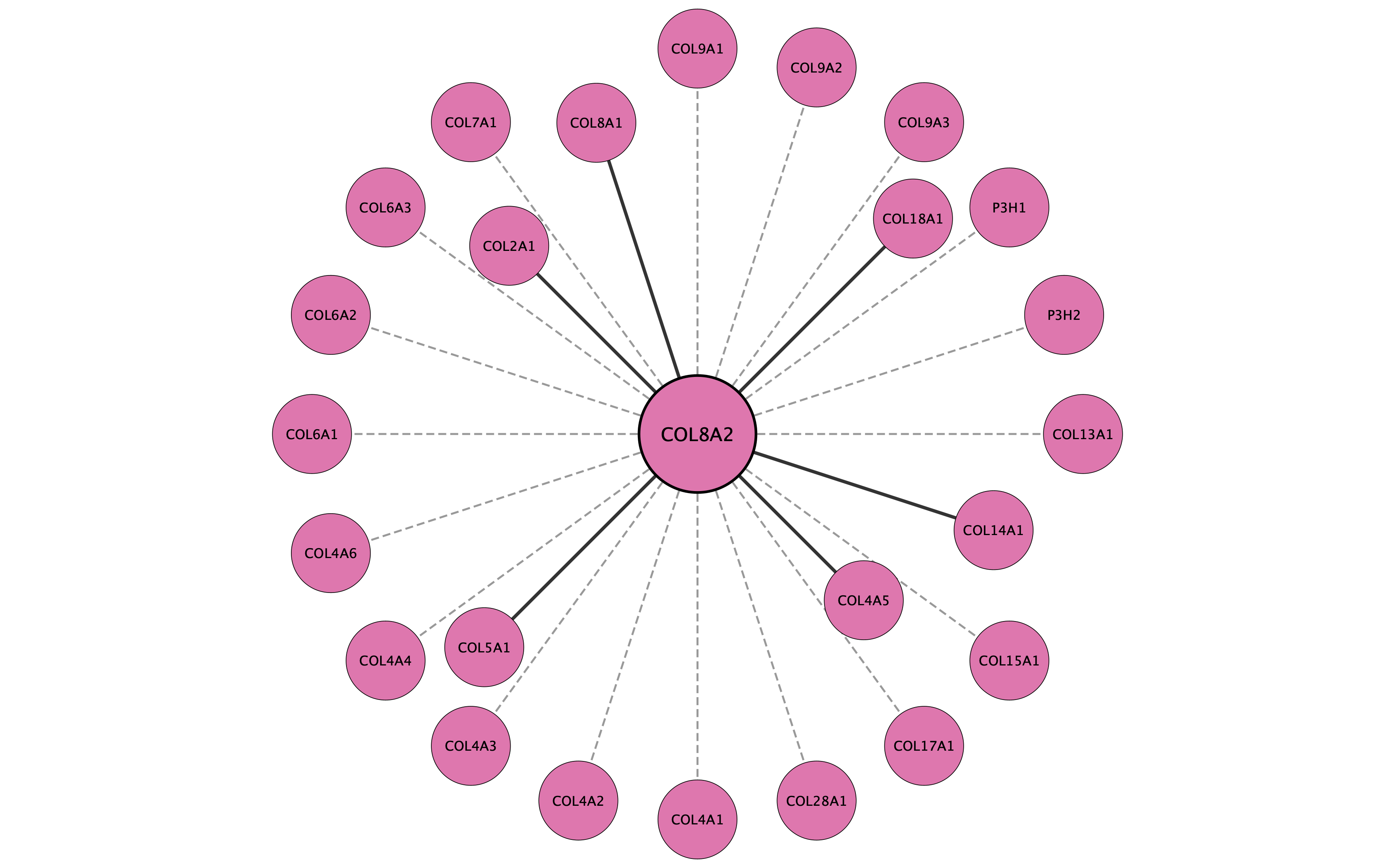 COL8A2 protein interaction network