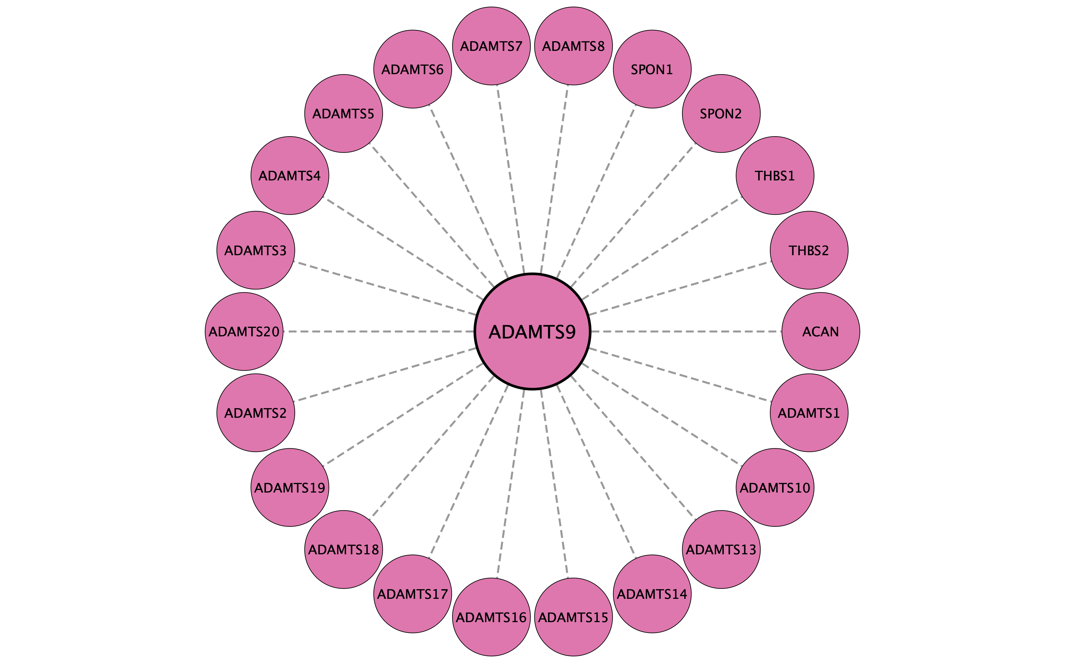 ADAMTS9 protein interaction network