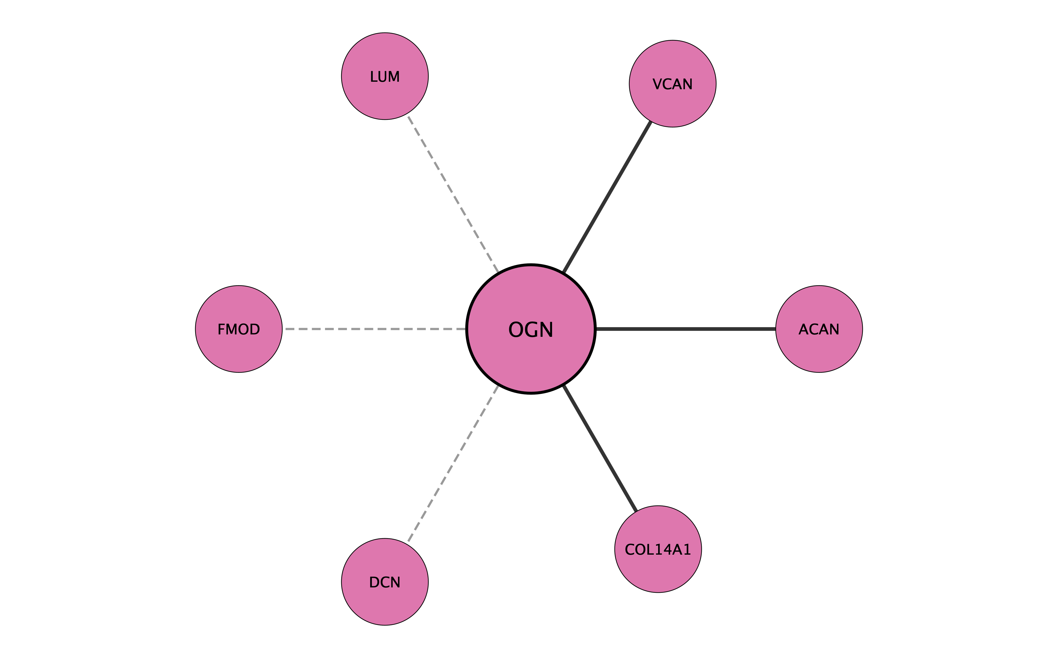 OGN protein interaction network