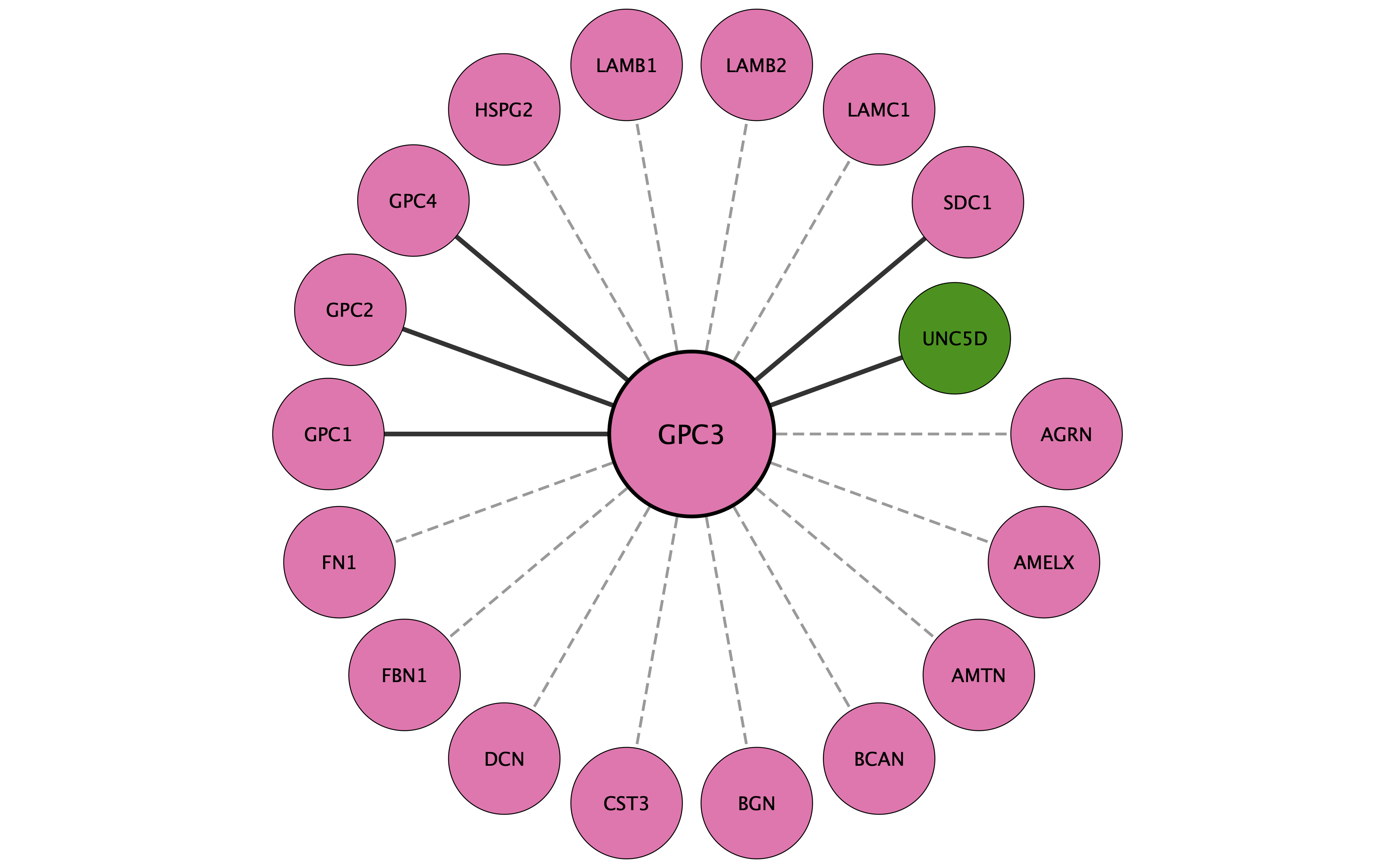 GPC3 protein interaction network
