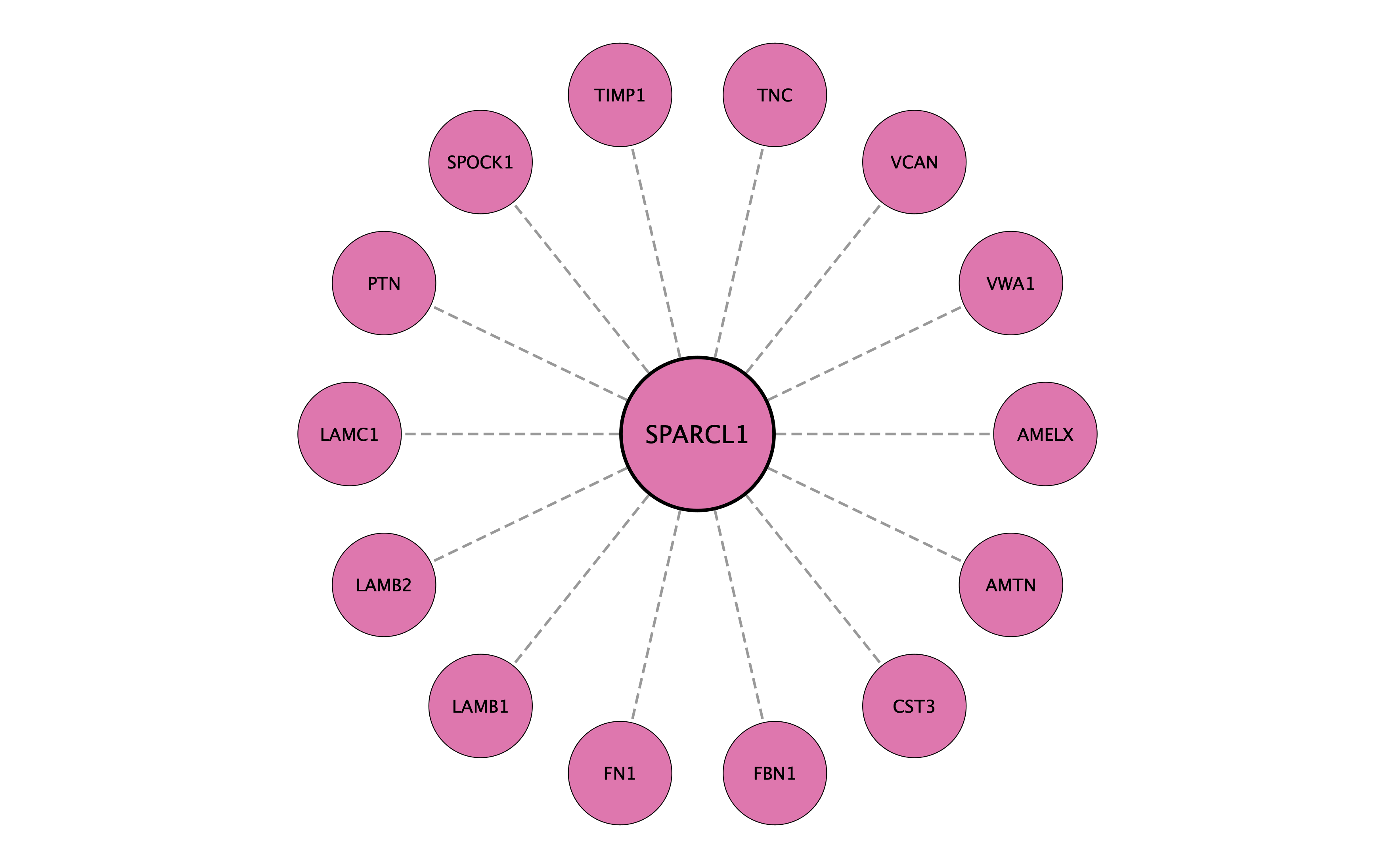 SPARCL1 protein interaction network