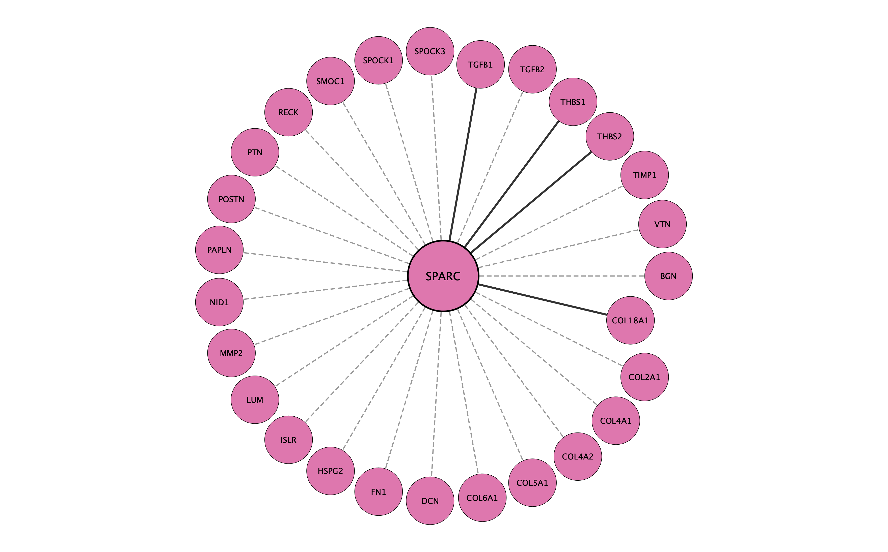 SPARC protein interaction network