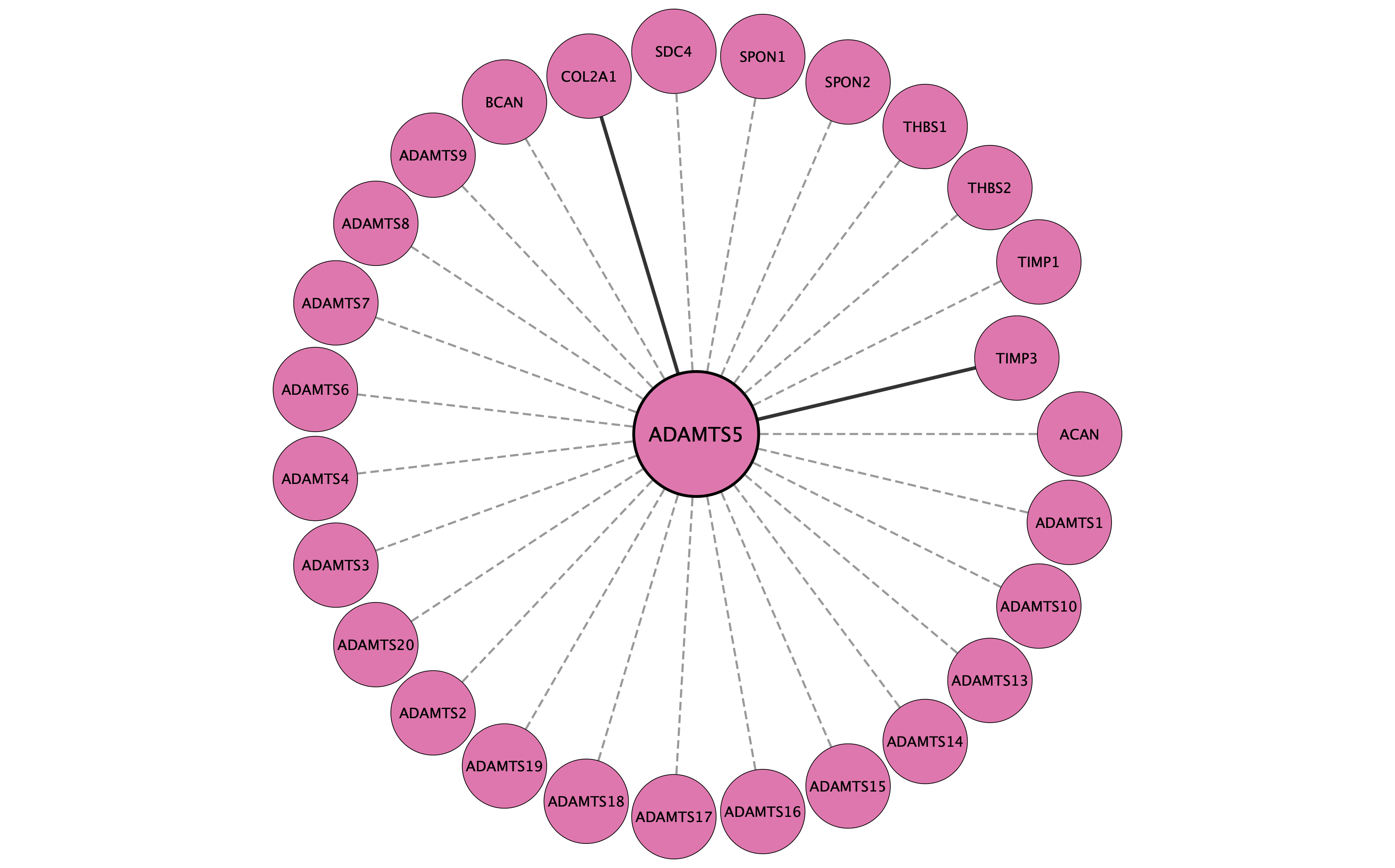 ADAMTS5 protein interaction network