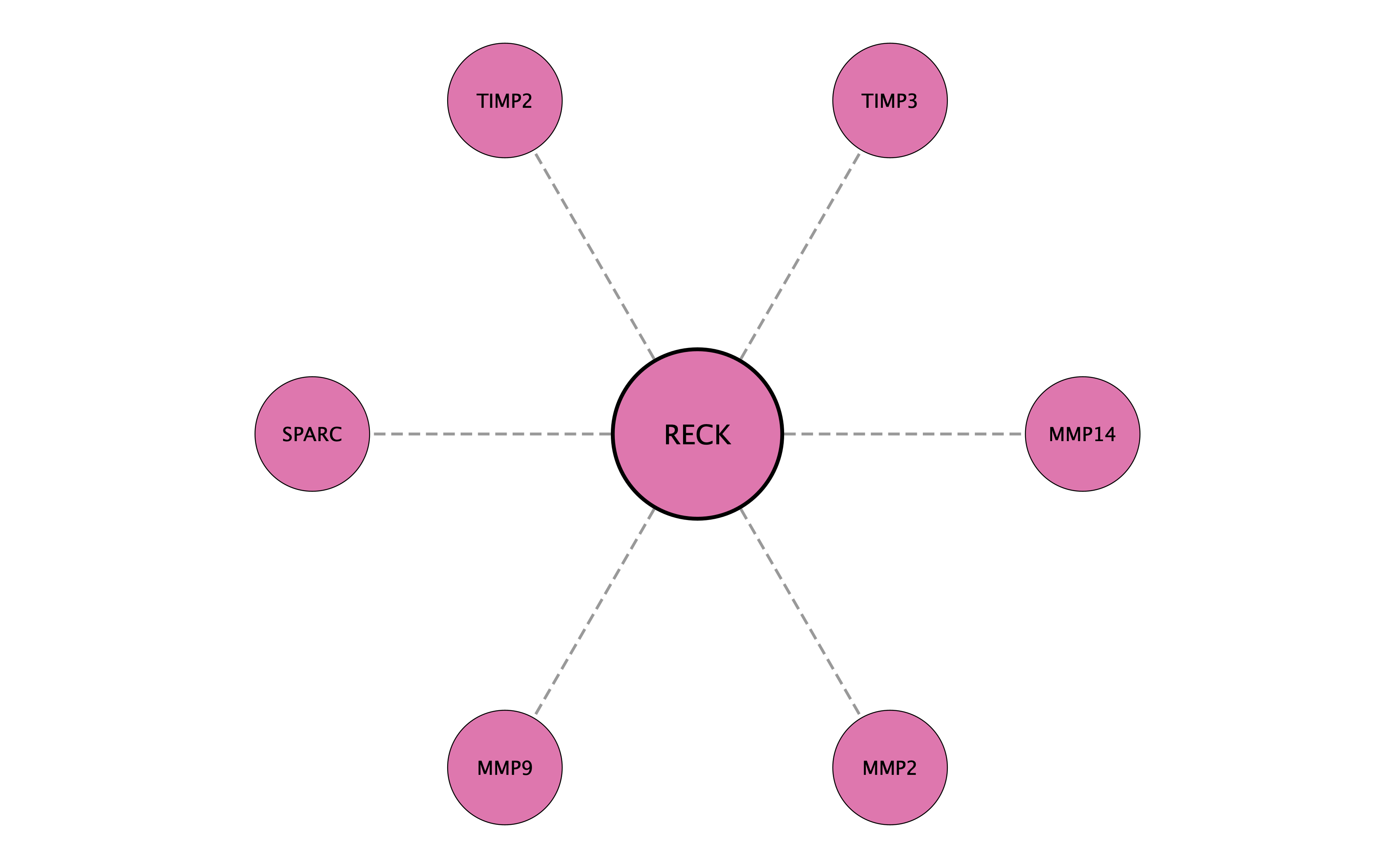 RECK protein interaction network